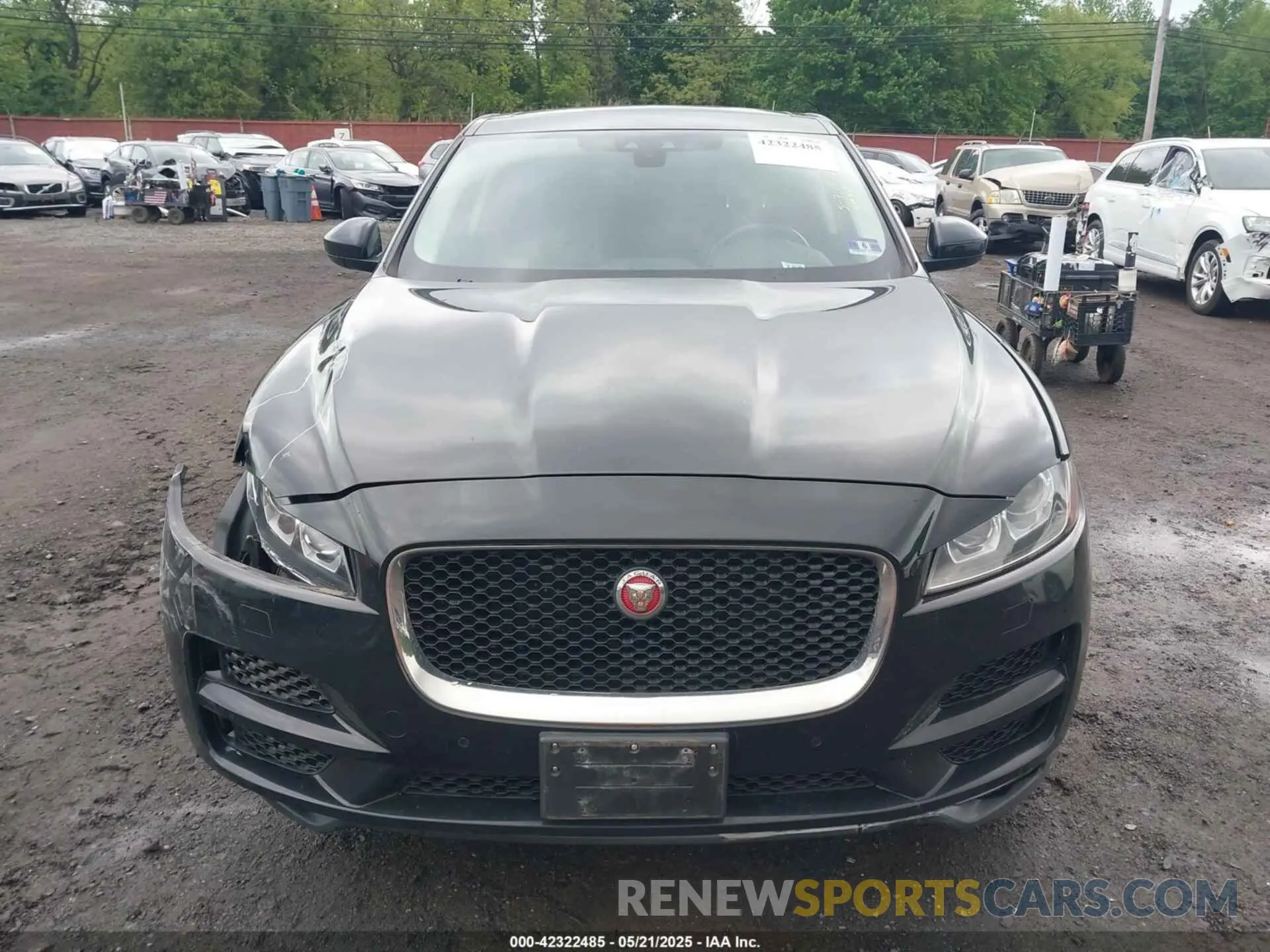 12 Photograph of a damaged car SADCK2GX7KA392837 JAGUAR F-PACE 2019