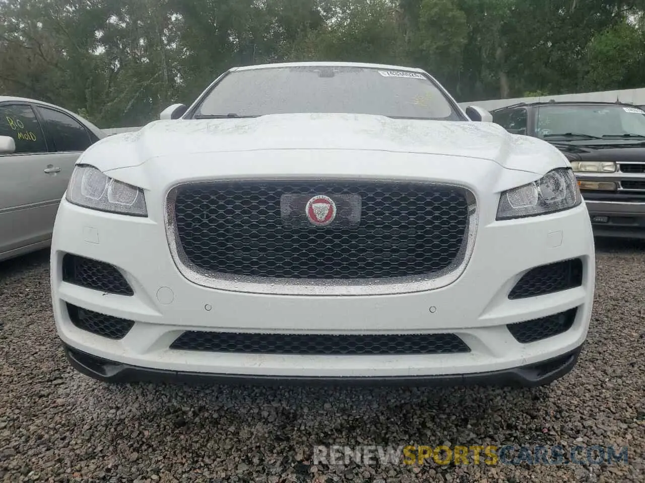5 Photograph of a damaged car SADCK2GX7KA398511 JAGUAR F-PACE 2019