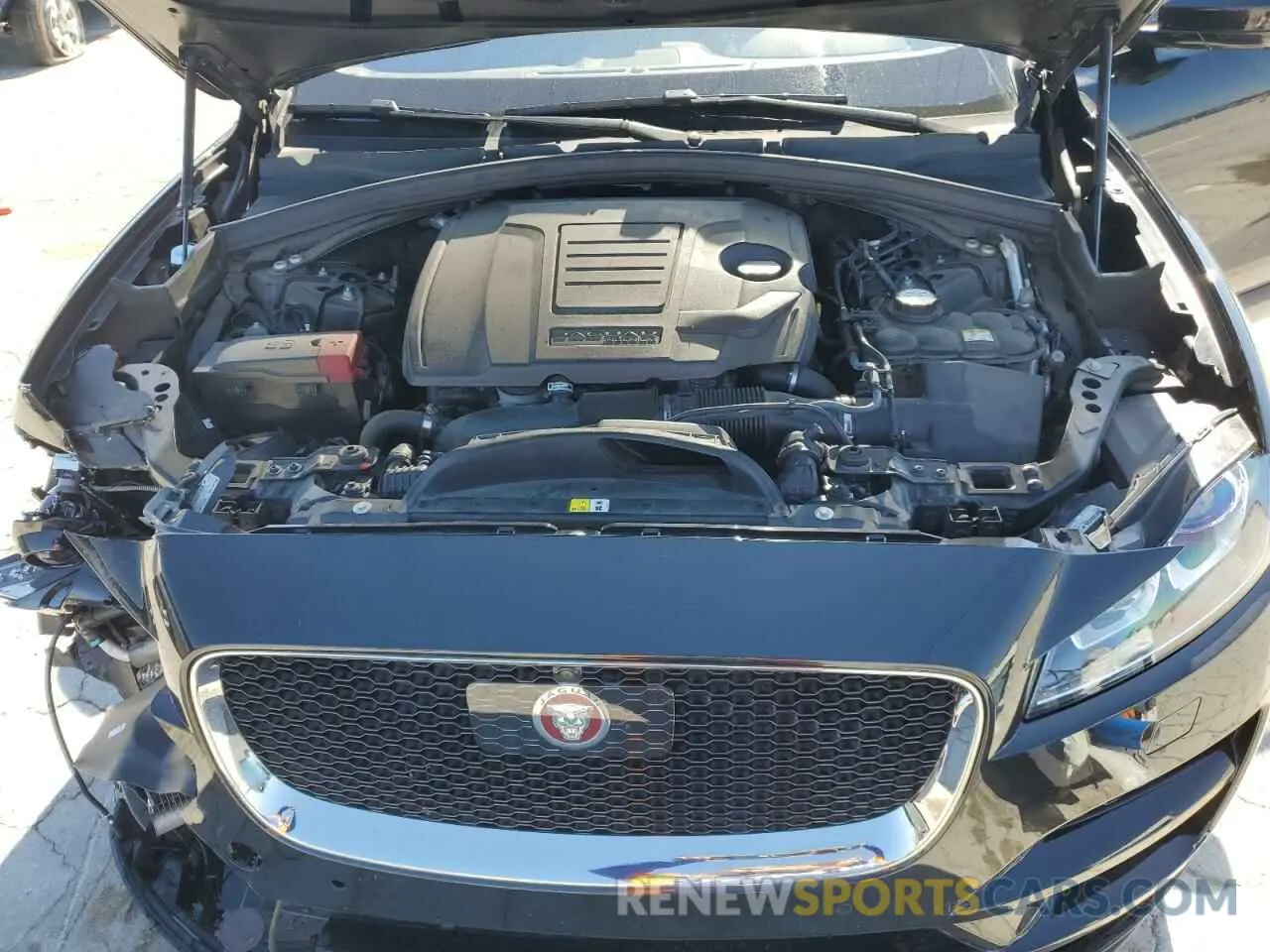14 Photograph of a damaged car SADCK2GX9KA368541 JAGUAR F-PACE 2019