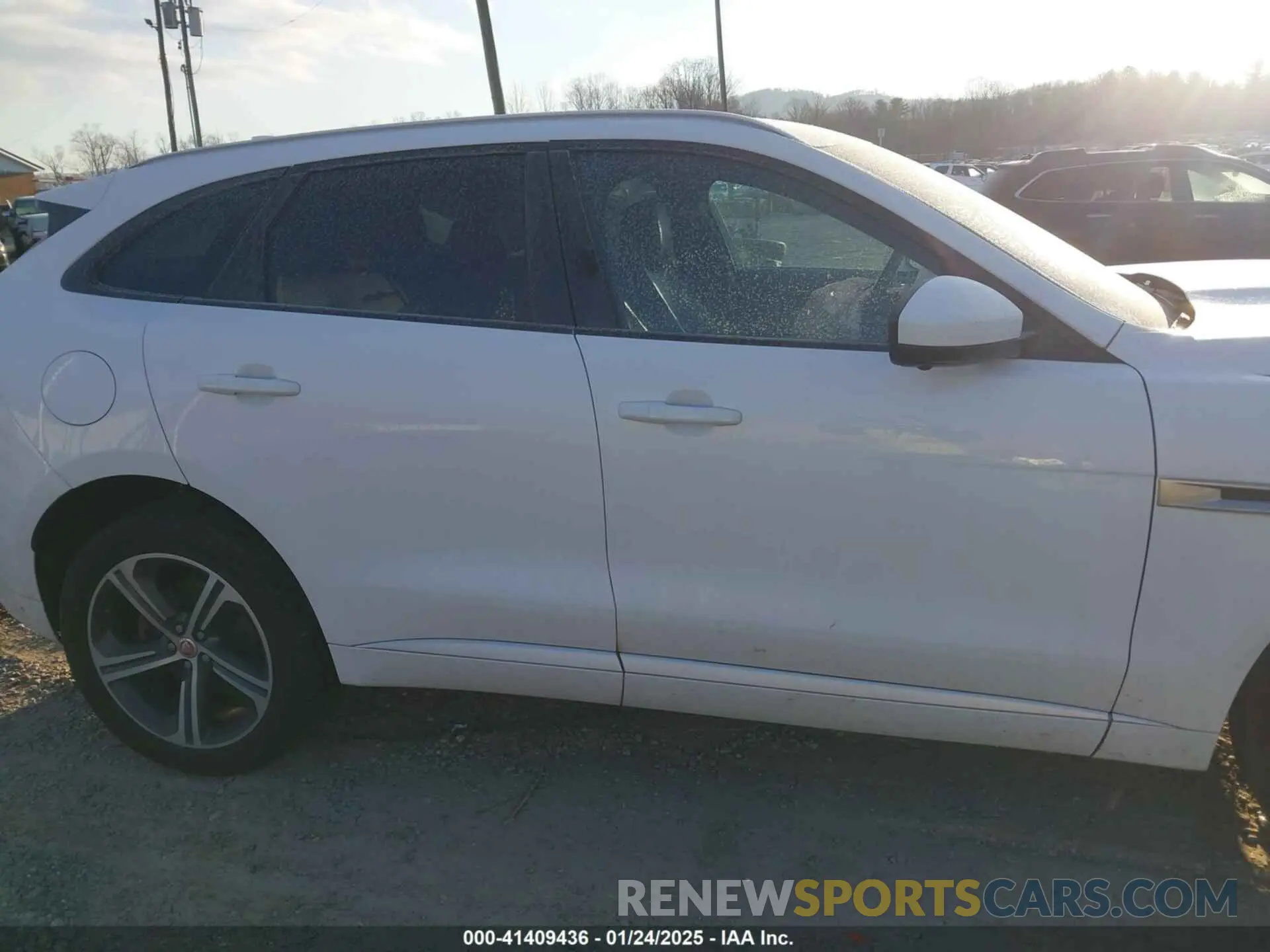 13 Photograph of a damaged car SADCM2FV2KA398507 JAGUAR F-PACE 2019
