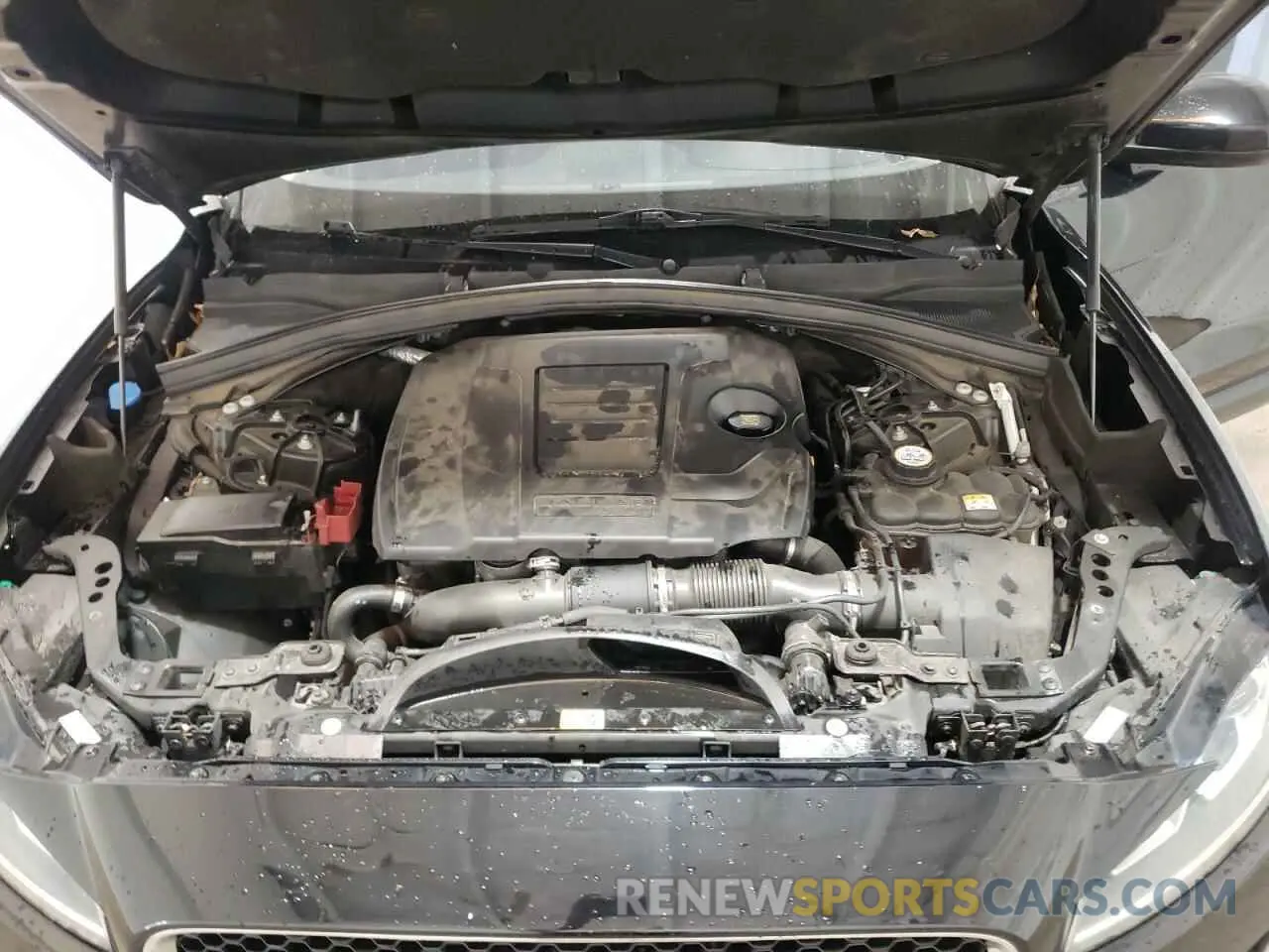 12 Photograph of a damaged car SADCS2FX1KA391782 JAGUAR F-PACE 2019