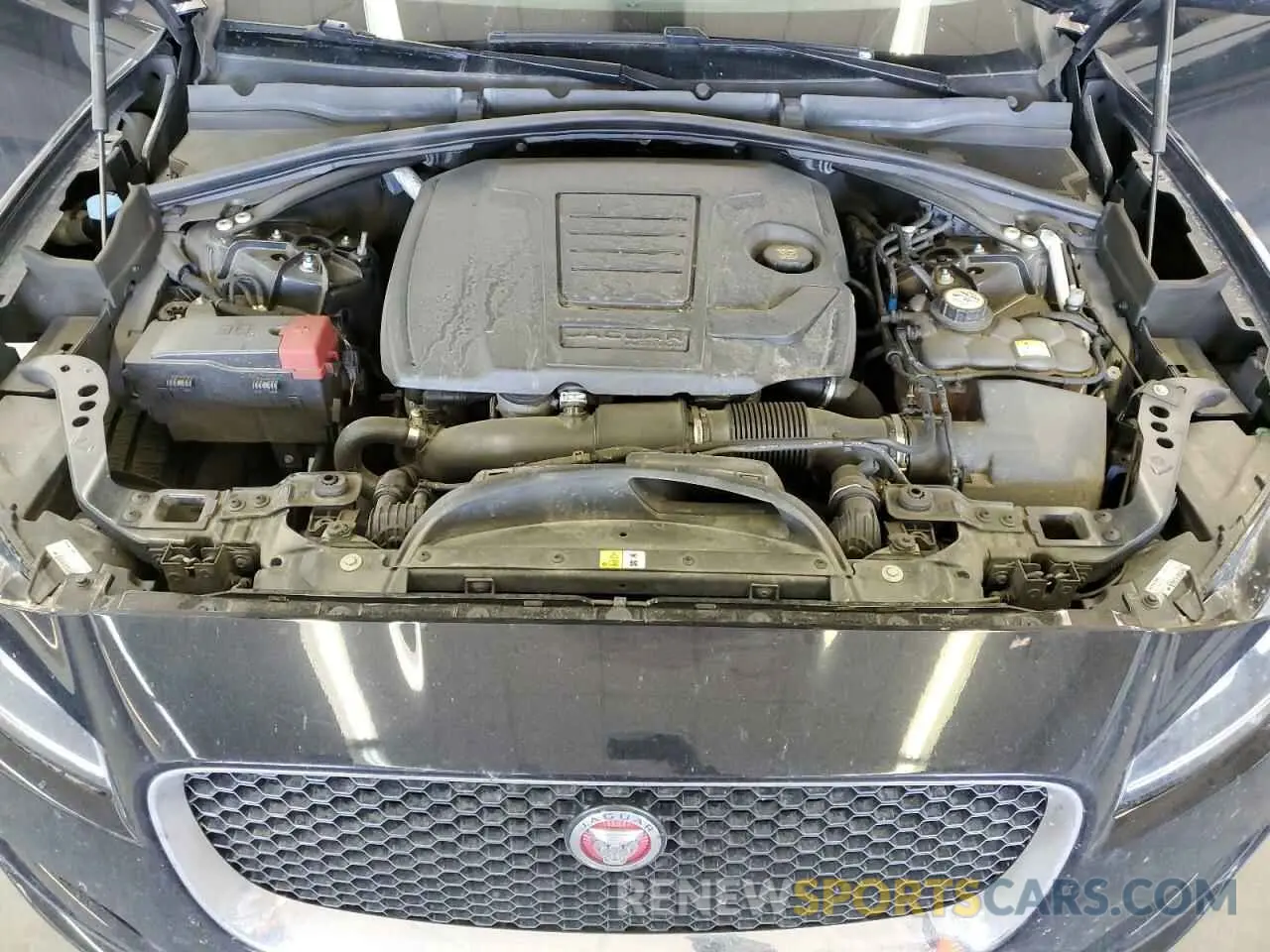 12 Photograph of a damaged car SADCS2FX3KA390570 JAGUAR F-PACE 2019