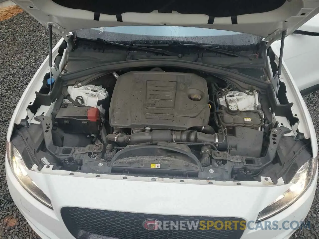 12 Photograph of a damaged car SADCJ2FX2LA646296 JAGUAR F-PACE 2020