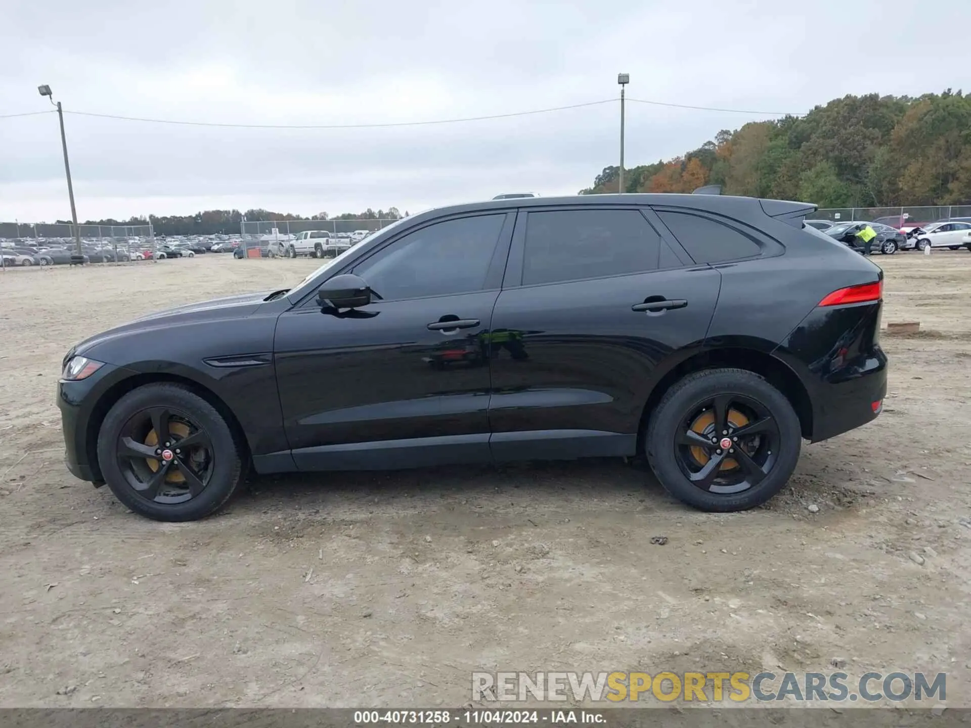 14 Photograph of a damaged car SADCJ2FX3LA621472 JAGUAR F-PACE 2020
