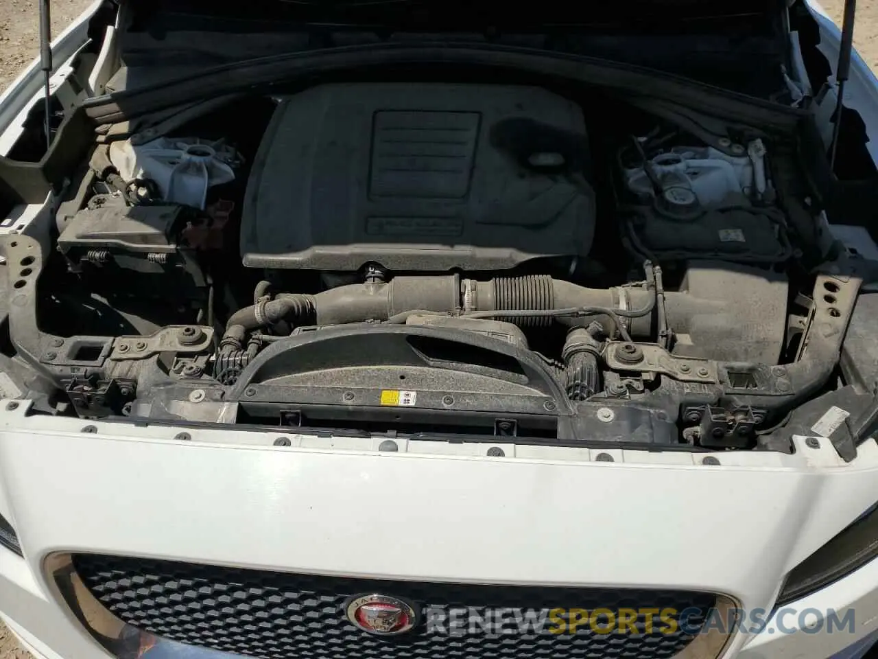 12 Photograph of a damaged car SADCK2GX2LA633902 JAGUAR F-PACE 2020