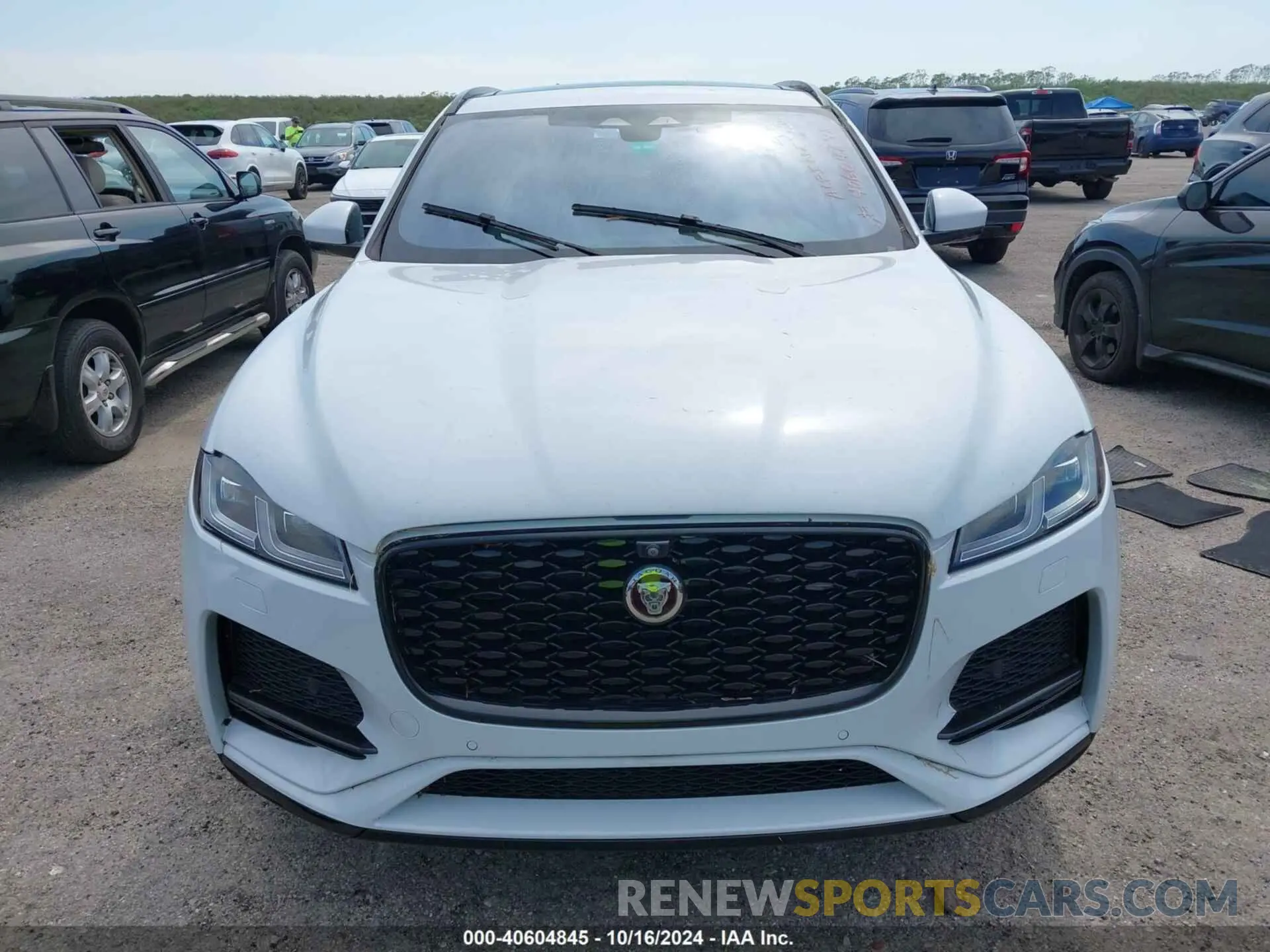 11 Photograph of a damaged car SADCJ2EU6MA686826 JAGUAR F-PACE 2021