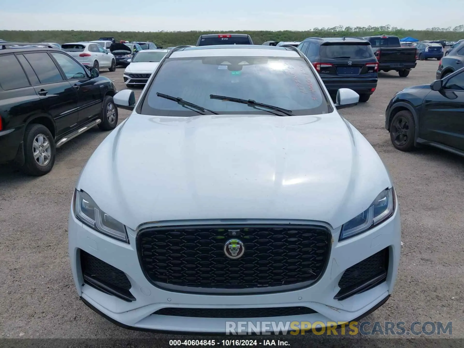 6 Photograph of a damaged car SADCJ2EU6MA686826 JAGUAR F-PACE 2021