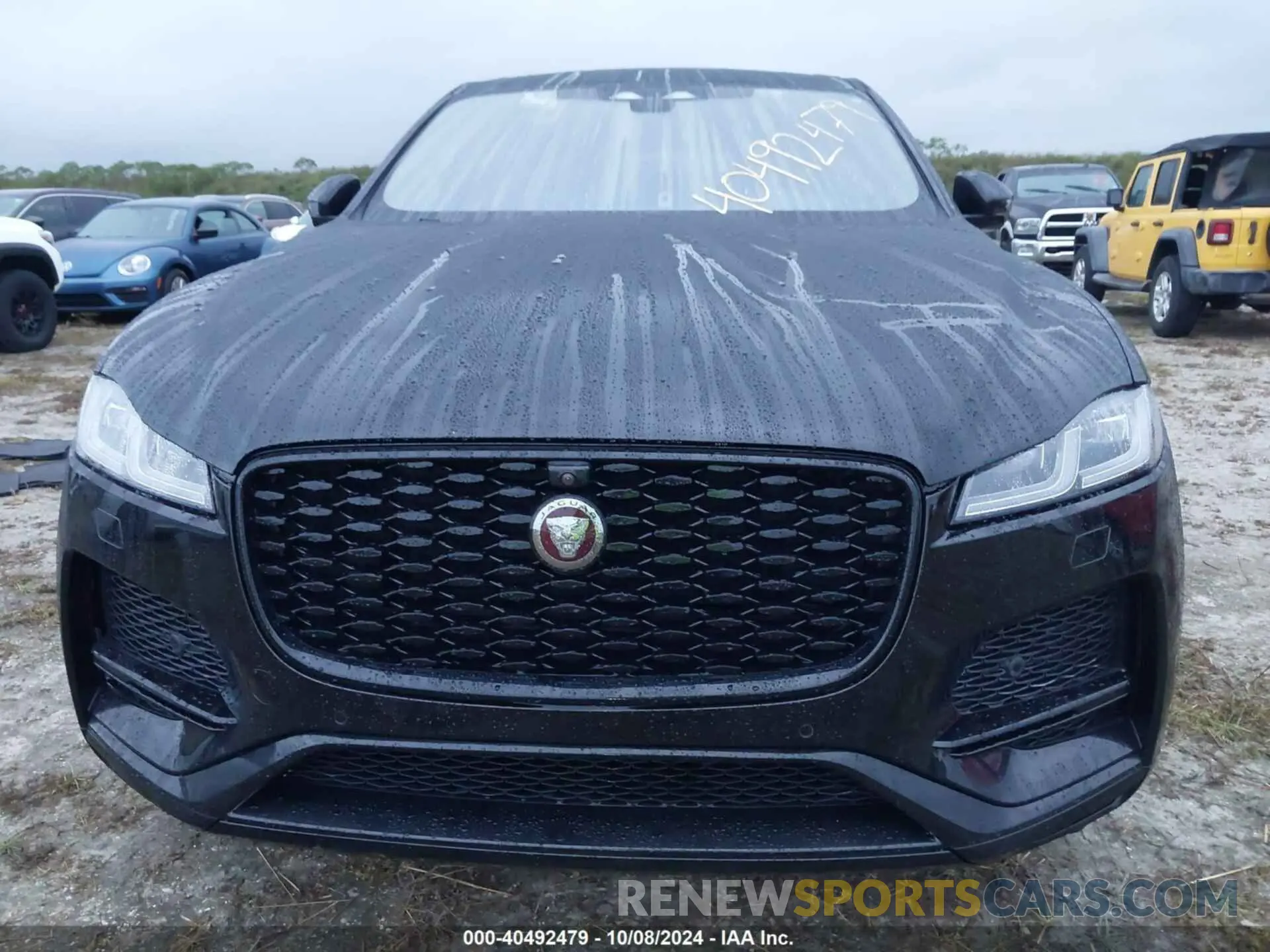 12 Photograph of a damaged car SADCJ2EX9MA687060 JAGUAR F-PACE 2021