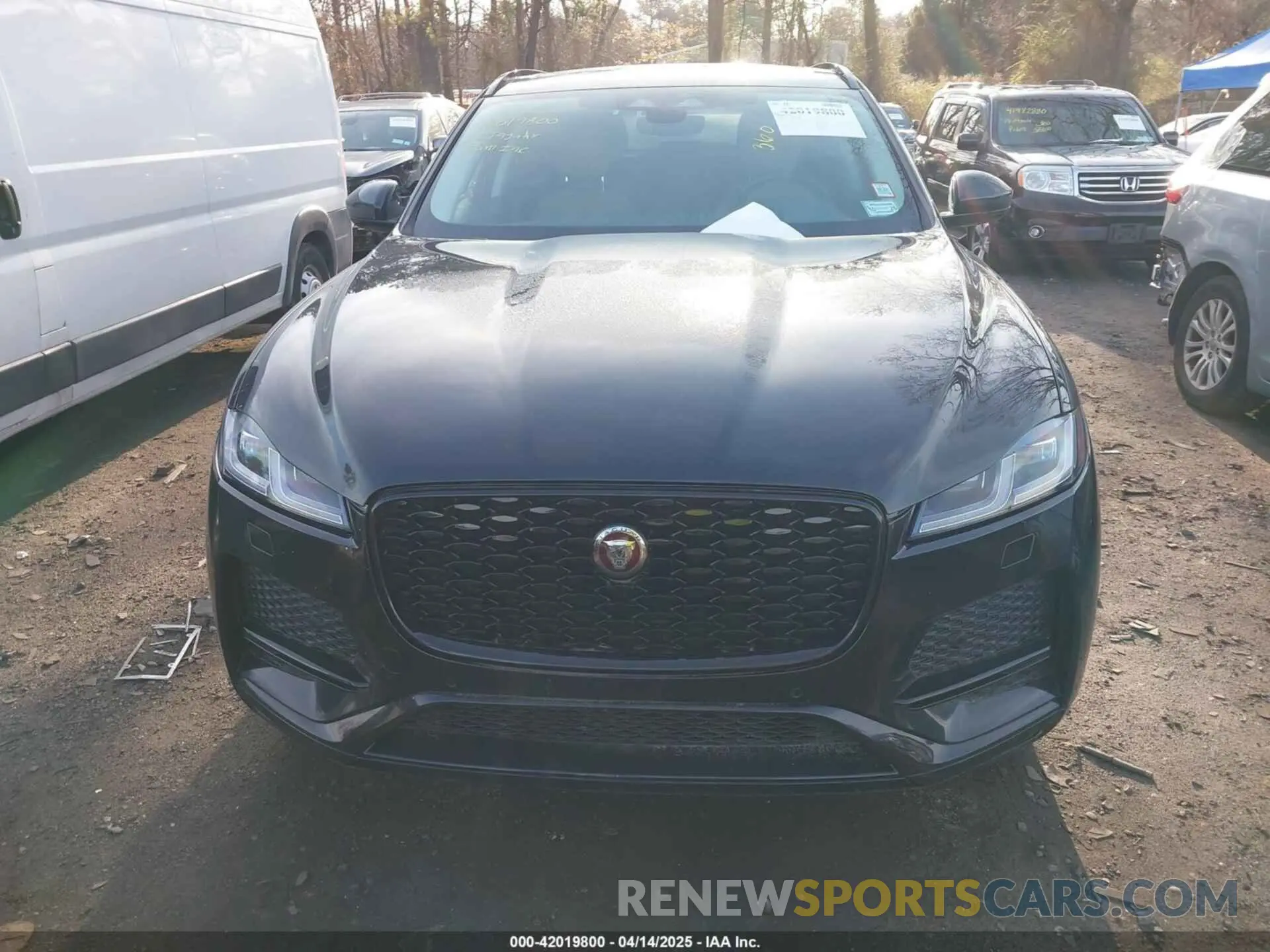 12 Photograph of a damaged car SADCJ2EX5NA698042 JAGUAR F-PACE 2022