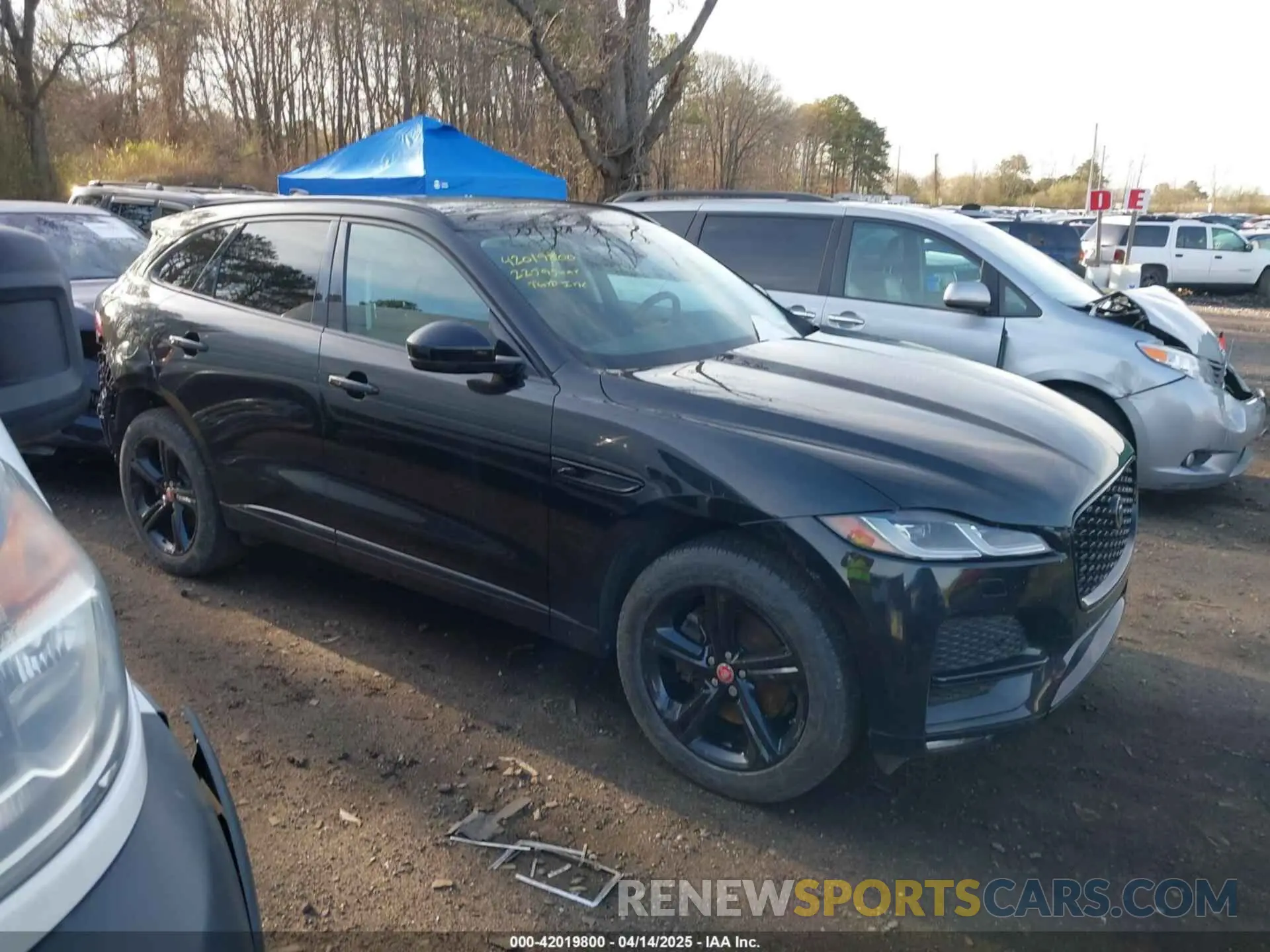 13 Photograph of a damaged car SADCJ2EX5NA698042 JAGUAR F-PACE 2022