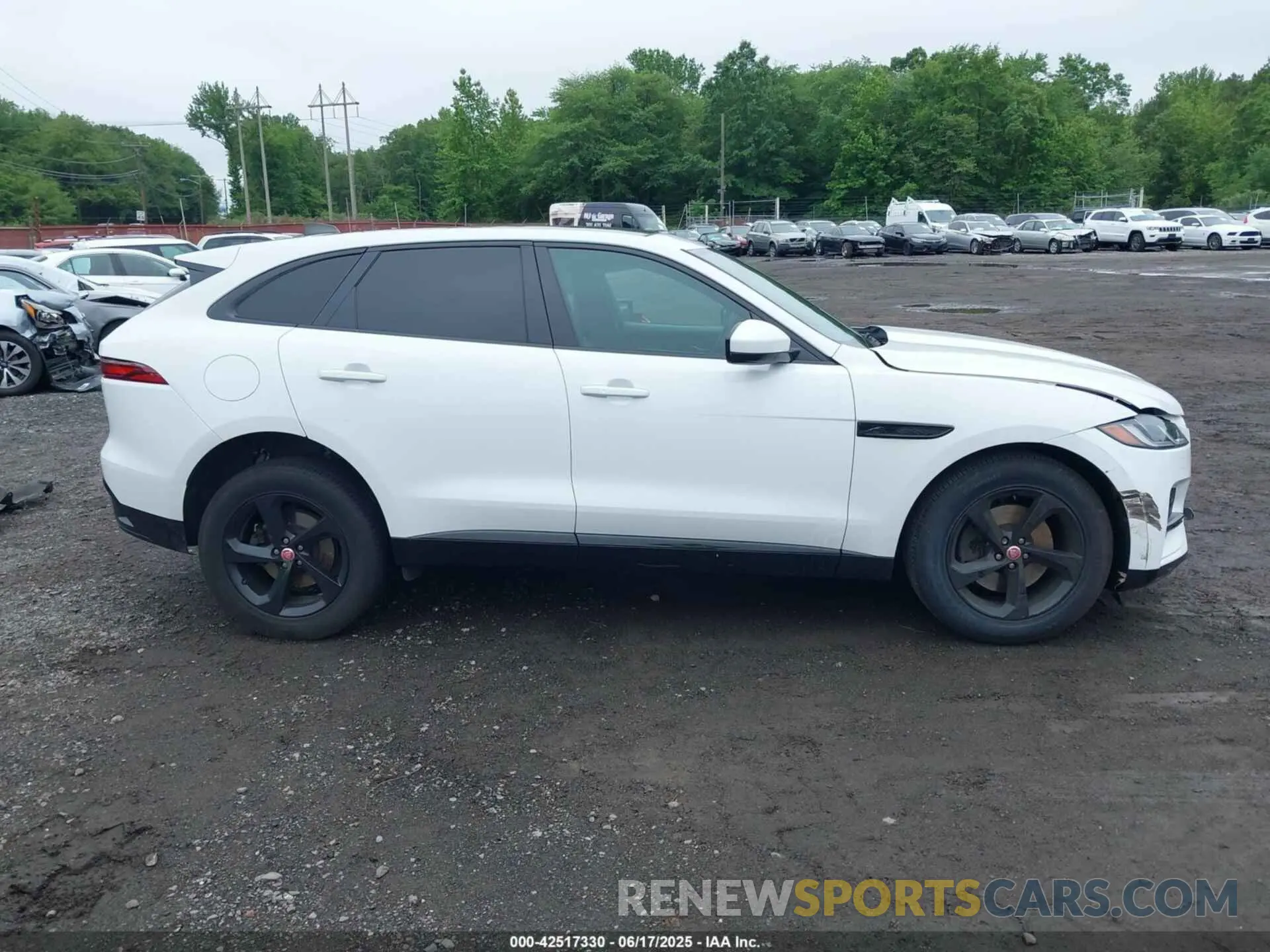13 Photograph of a damaged car SADCJ2EX3PA704813 JAGUAR F-PACE 2023