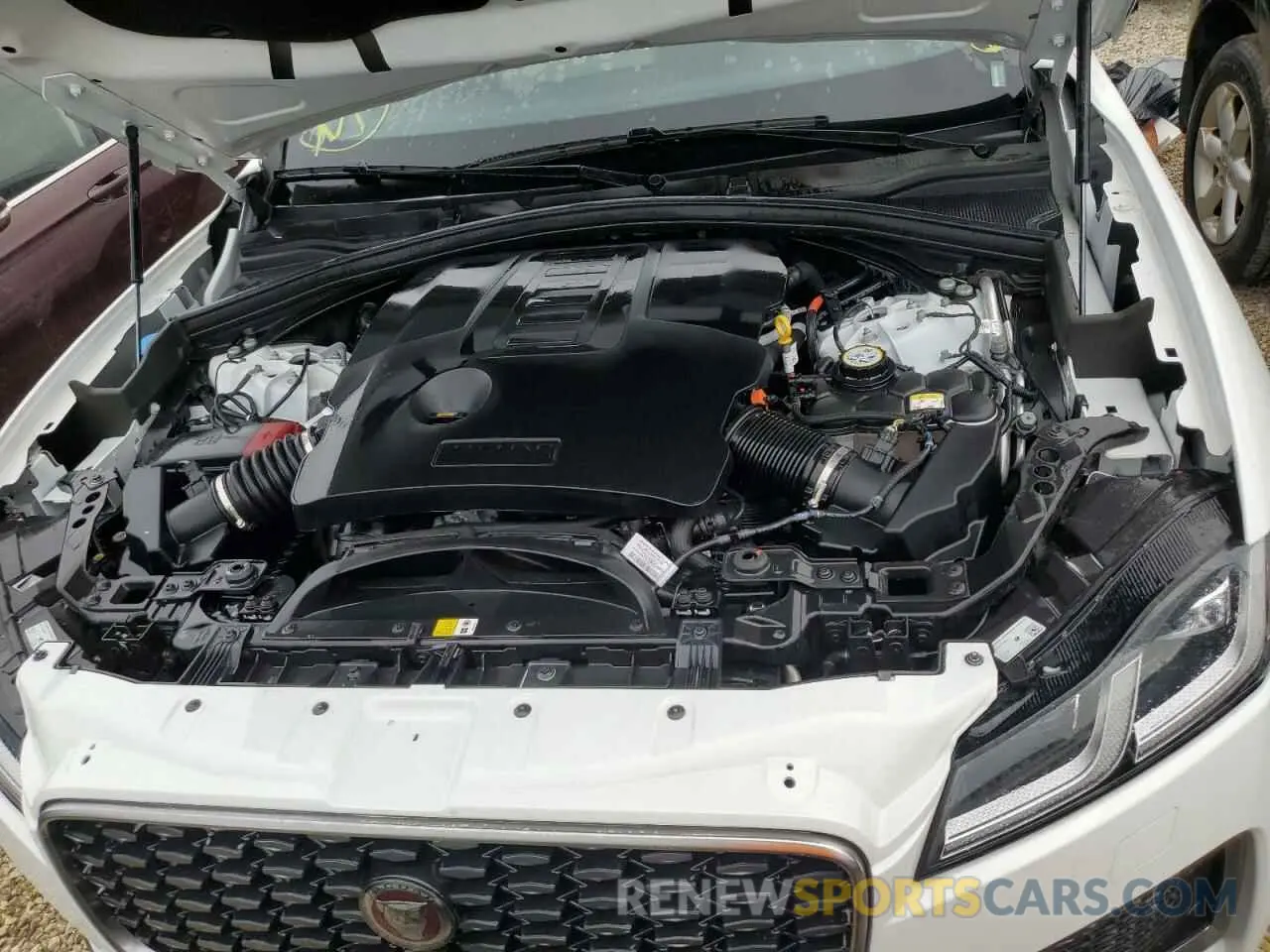 12 Photograph of a damaged car SADCT2FU6PA708143 JAGUAR F-PACE 2023