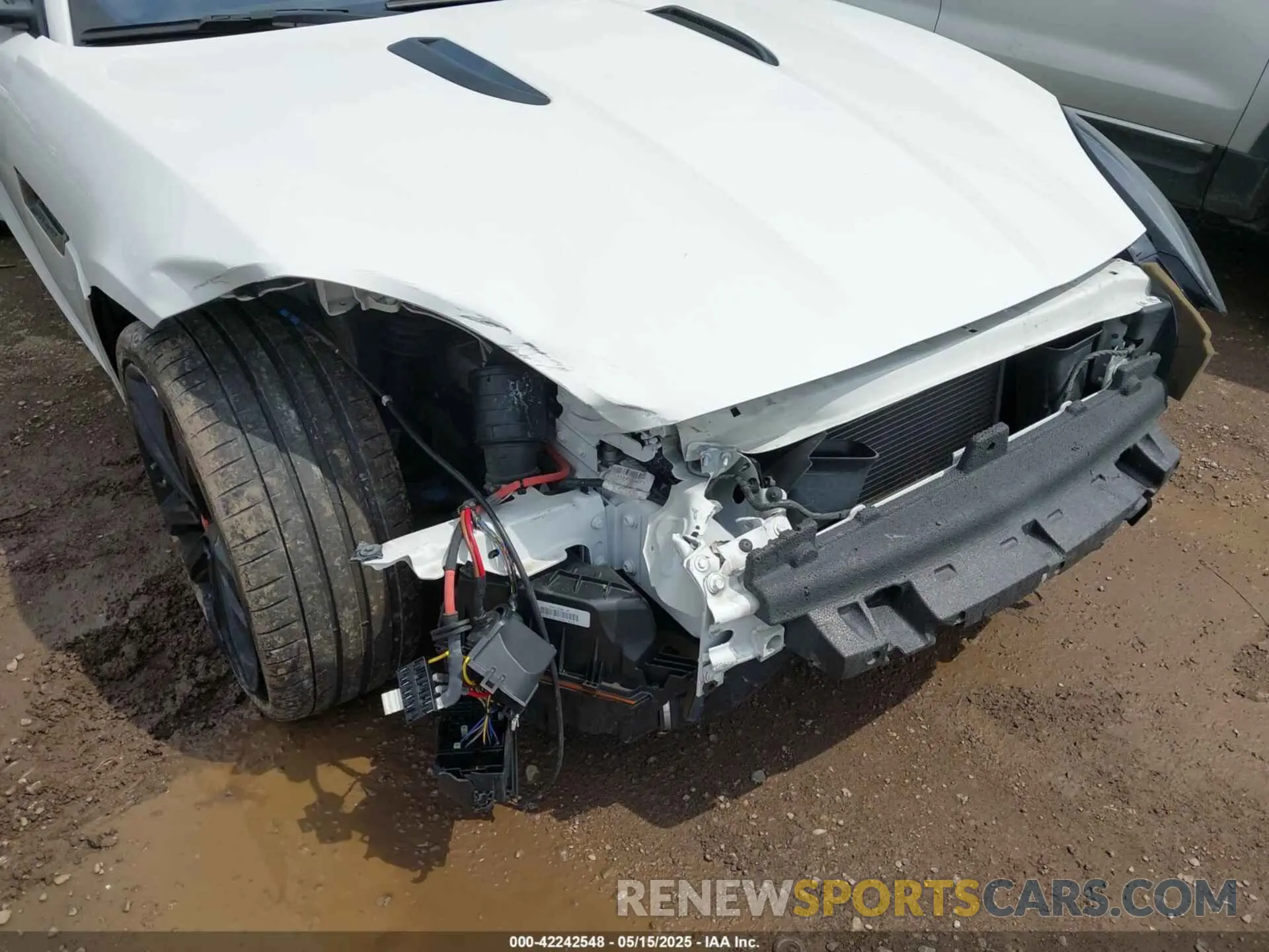 6 Photograph of a damaged car SAJDD1EV4KCK61053 JAGUAR F-TYPE 2019