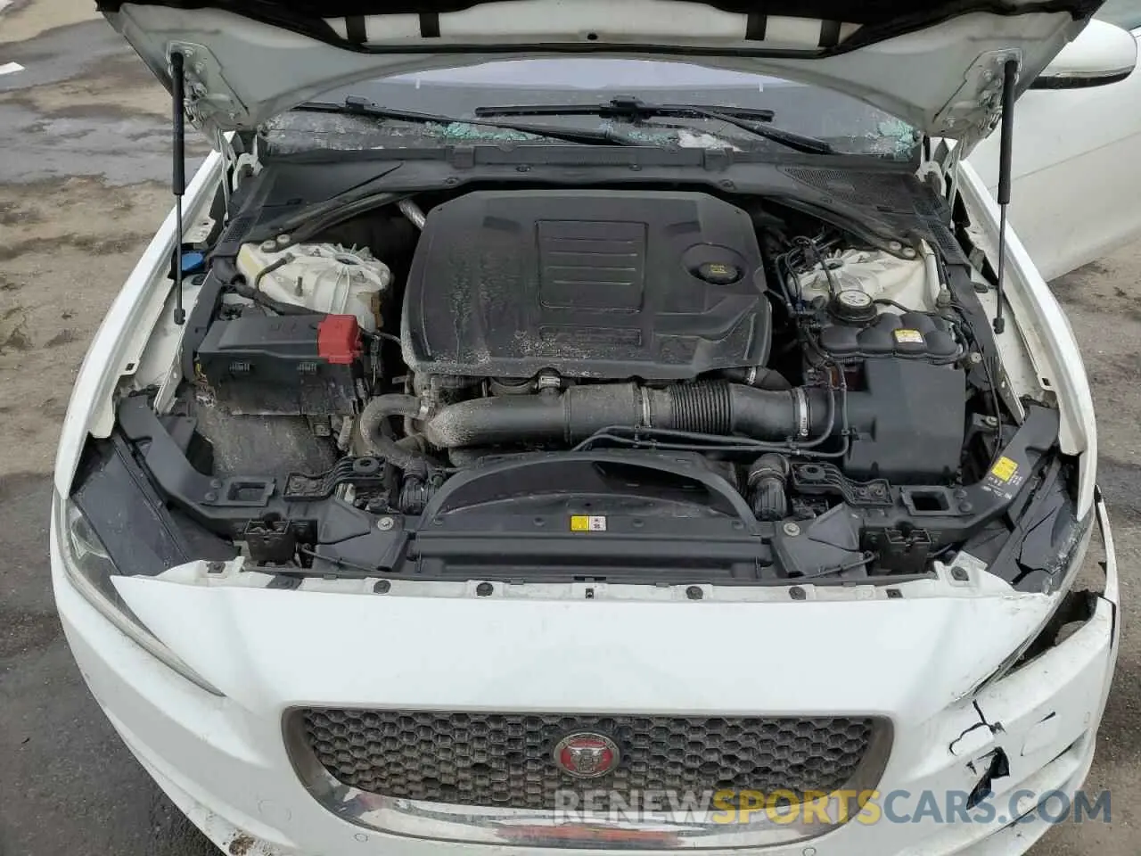 13 Photograph of a damaged car SAJAJ4FX0KCP50143 JAGUAR XE 2019
