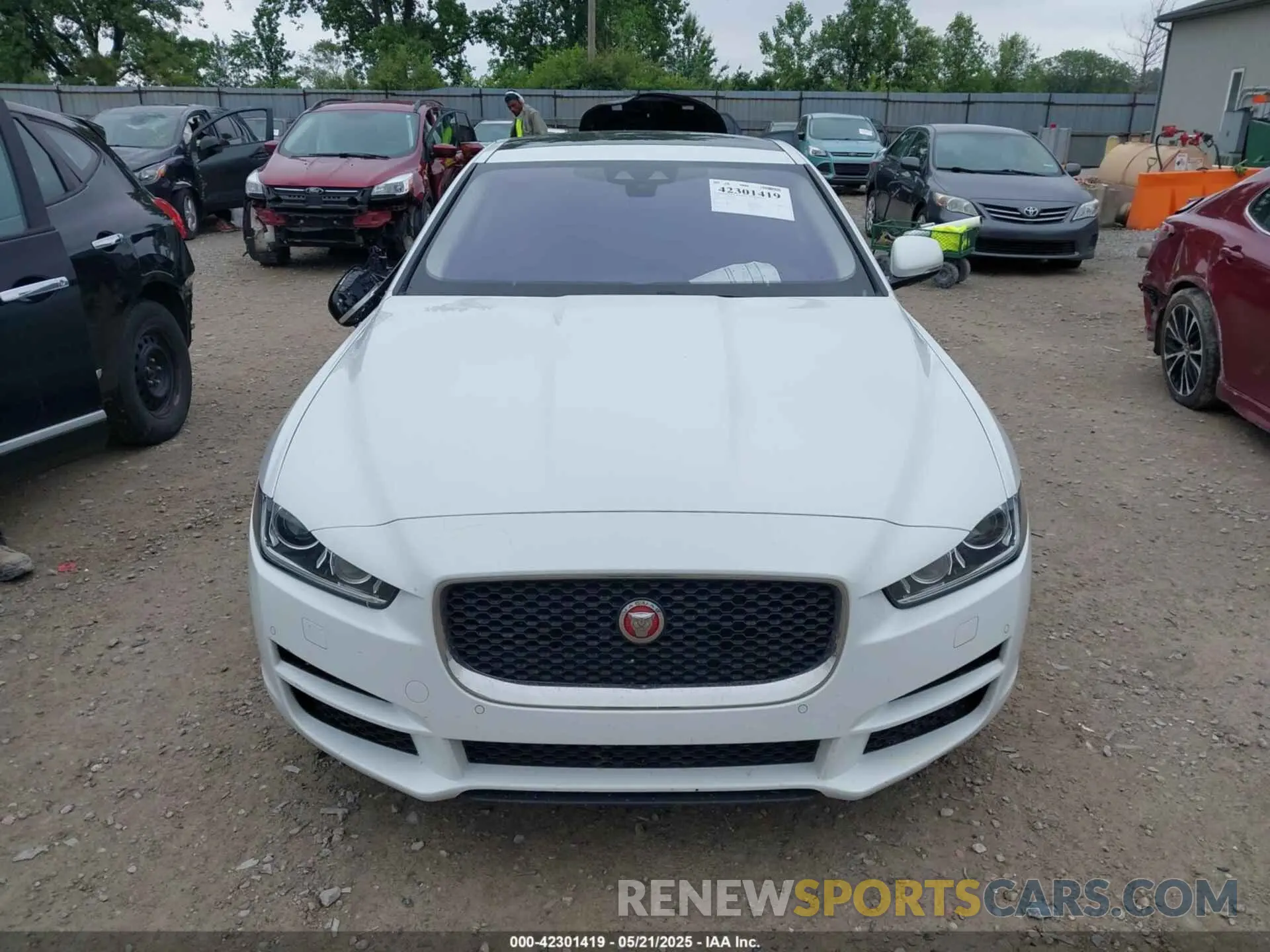 13 Photograph of a damaged car SAJAJ4FX7KCP44274 JAGUAR XE 2019