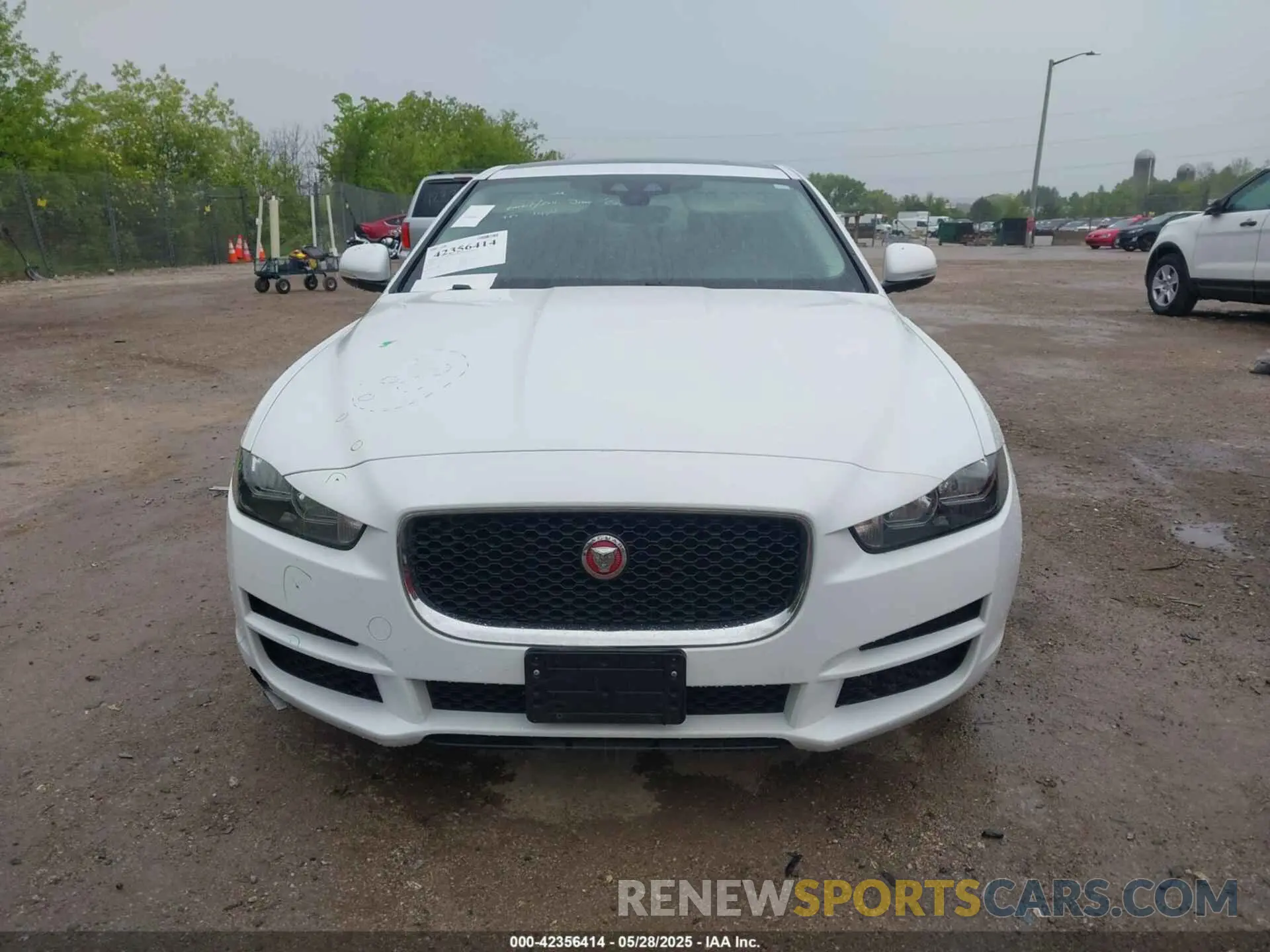 11 Photograph of a damaged car SAJAR4FX5KCP52589 JAGUAR XE 2019