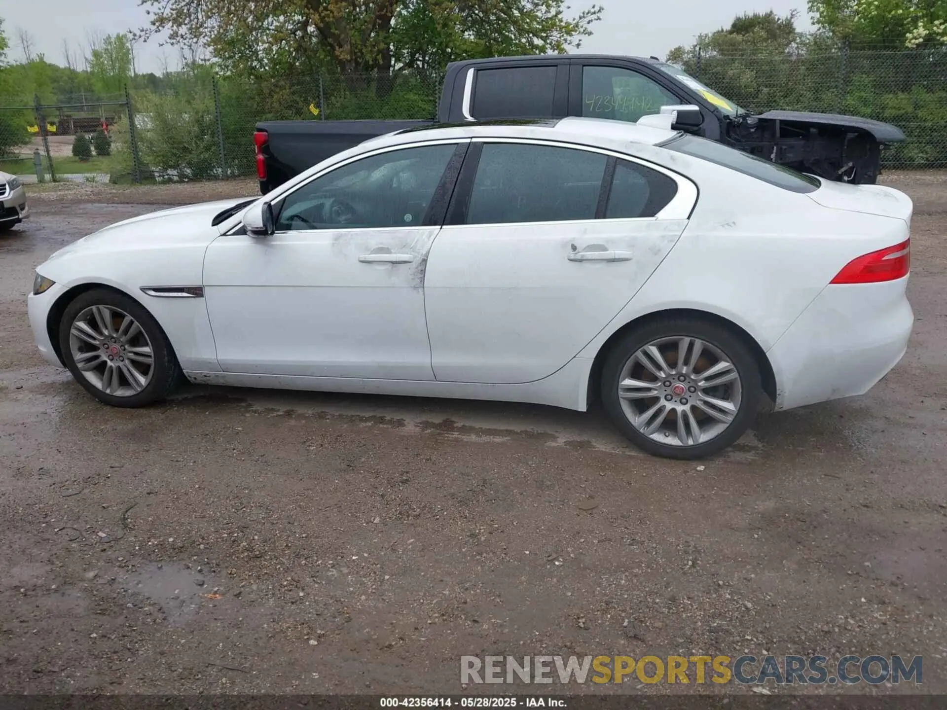 13 Photograph of a damaged car SAJAR4FX5KCP52589 JAGUAR XE 2019