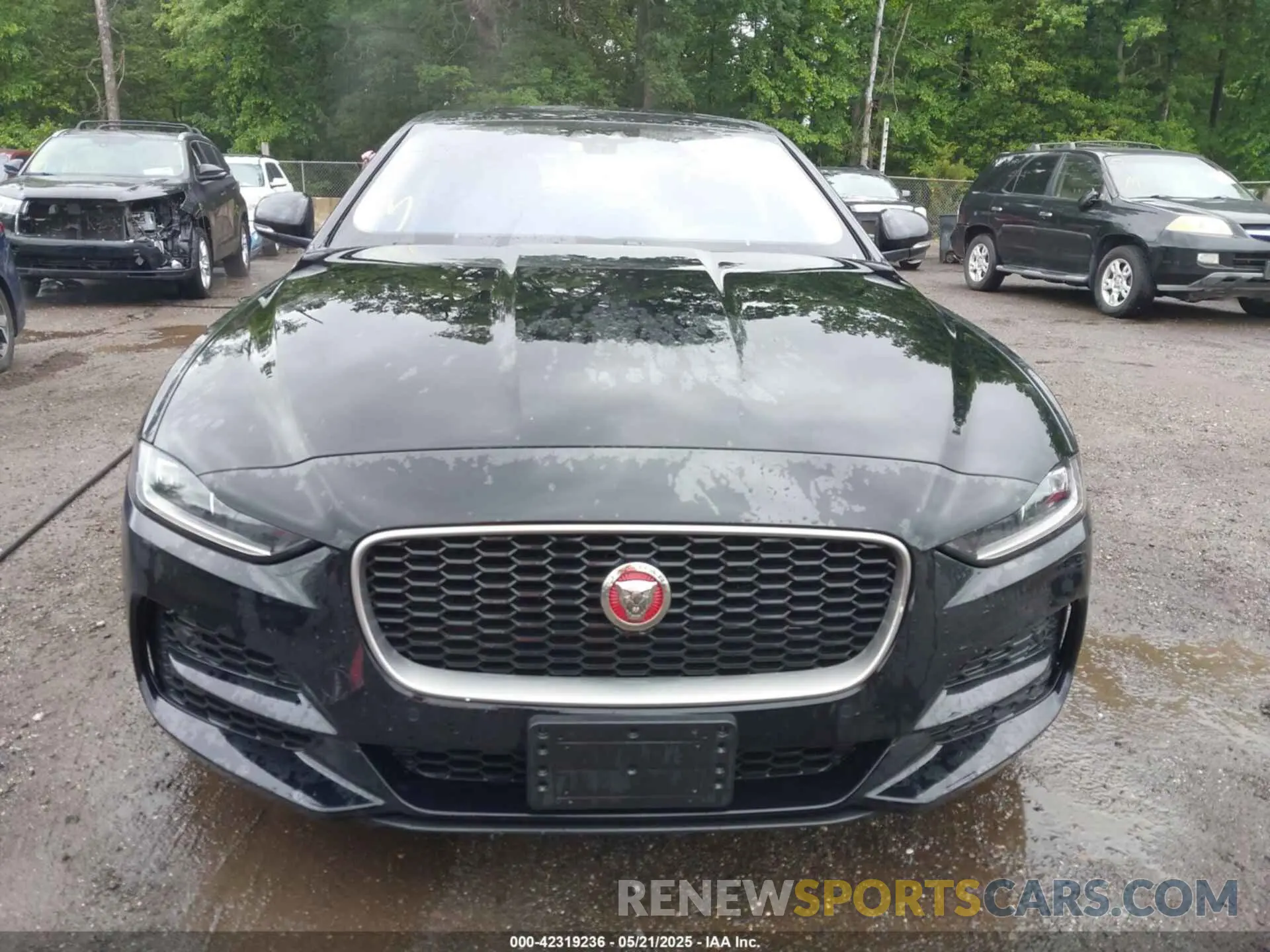 12 Photograph of a damaged car SAJAE4FX1LCP56555 JAGUAR XE 2020