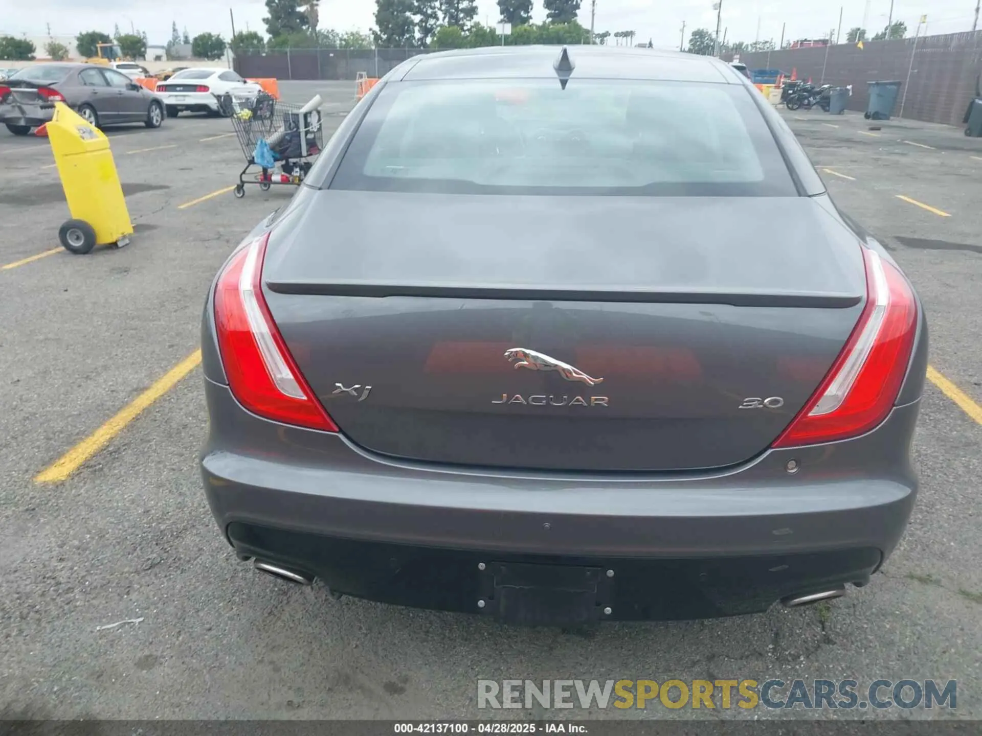 16 Photograph of a damaged car SAJWA1C70K8W18186 JAGUAR XJ 2019