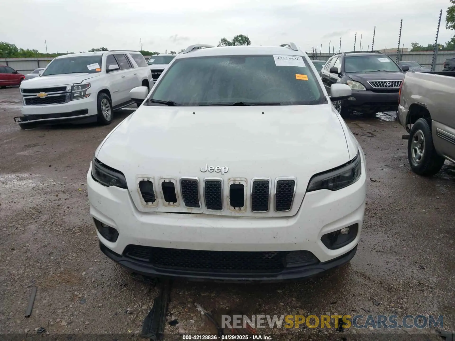 12 Photograph of a damaged car 1C4PJLLB3KD151355 JEEP CHEROKEE 2019