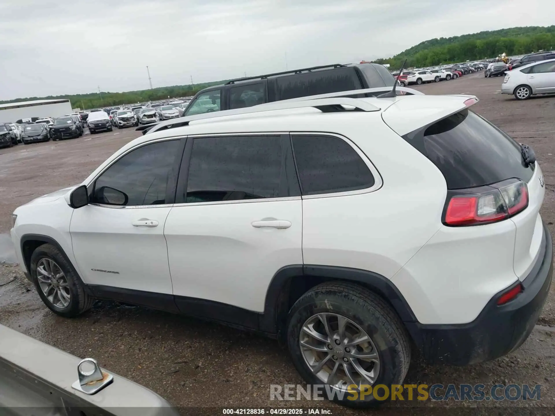 14 Photograph of a damaged car 1C4PJLLB3KD151355 JEEP CHEROKEE 2019
