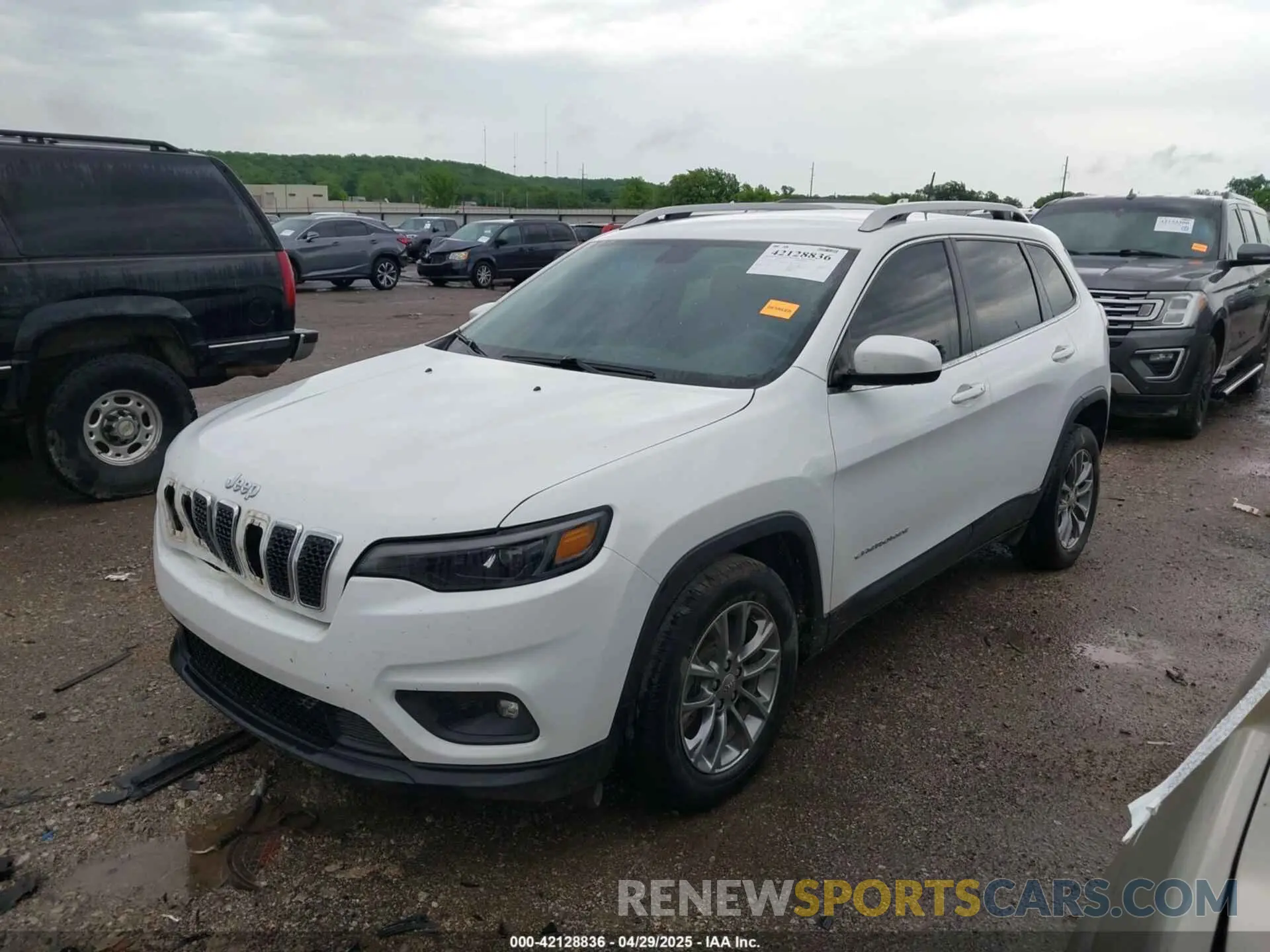 2 Photograph of a damaged car 1C4PJLLB3KD151355 JEEP CHEROKEE 2019