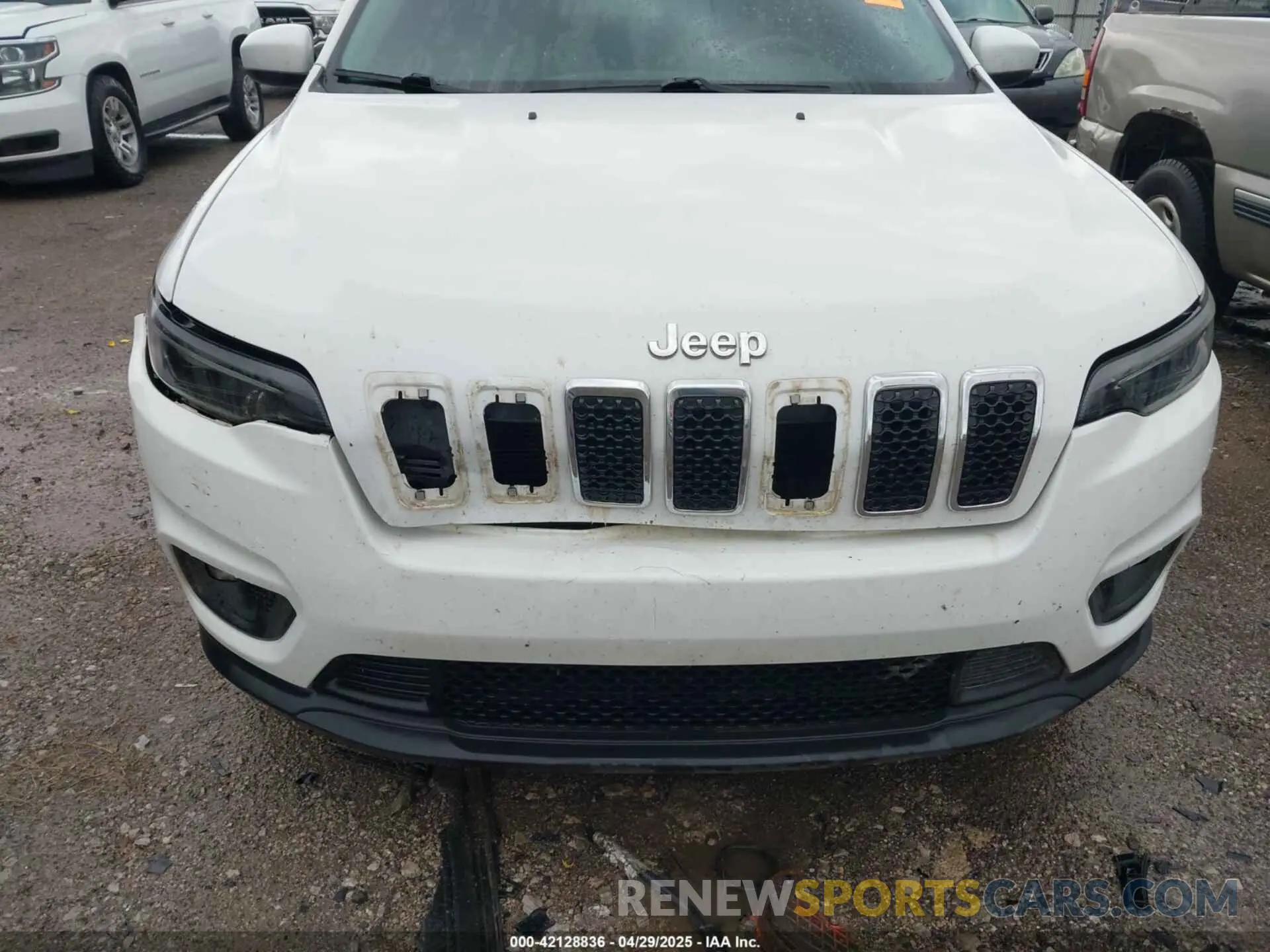 6 Photograph of a damaged car 1C4PJLLB3KD151355 JEEP CHEROKEE 2019
