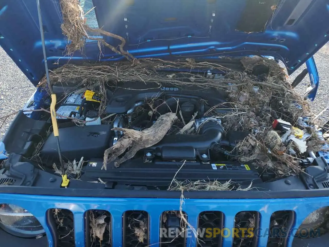 11 Photograph of a damaged car 1C6JJTBGXML551111 JEEP GLADIATOR 2021