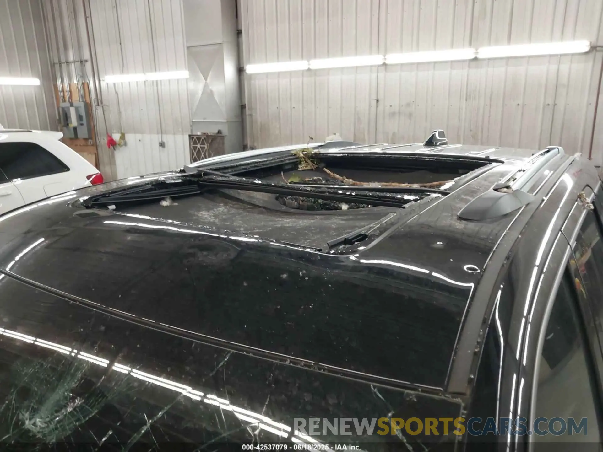 19 Photograph of a damaged car 1C4RJFJT5KC635961 JEEP GRAND CHEROKEE 2019
