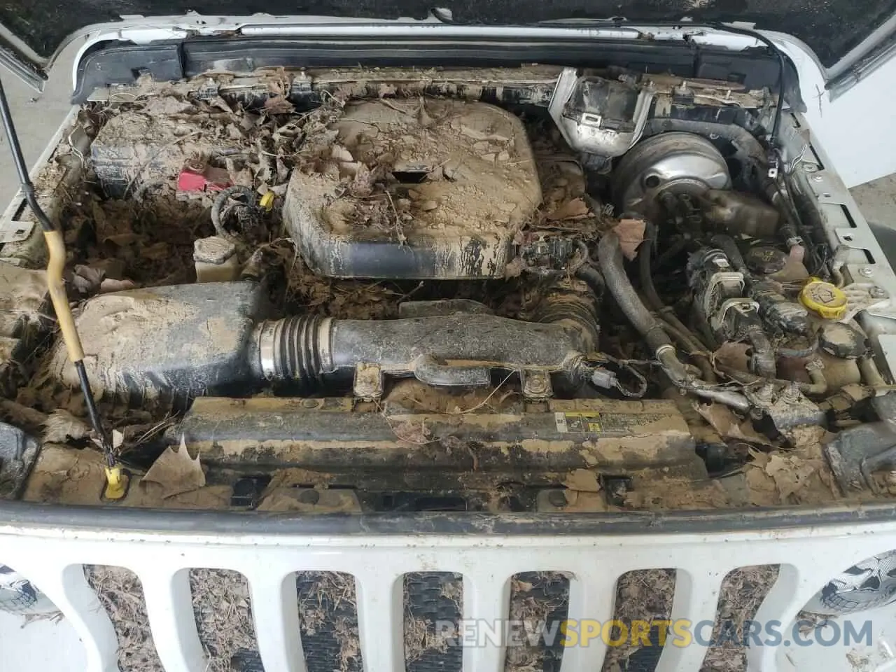 12 Photograph of a damaged car 1C4HJXDN7KW644917 JEEP WRANGLER 2019