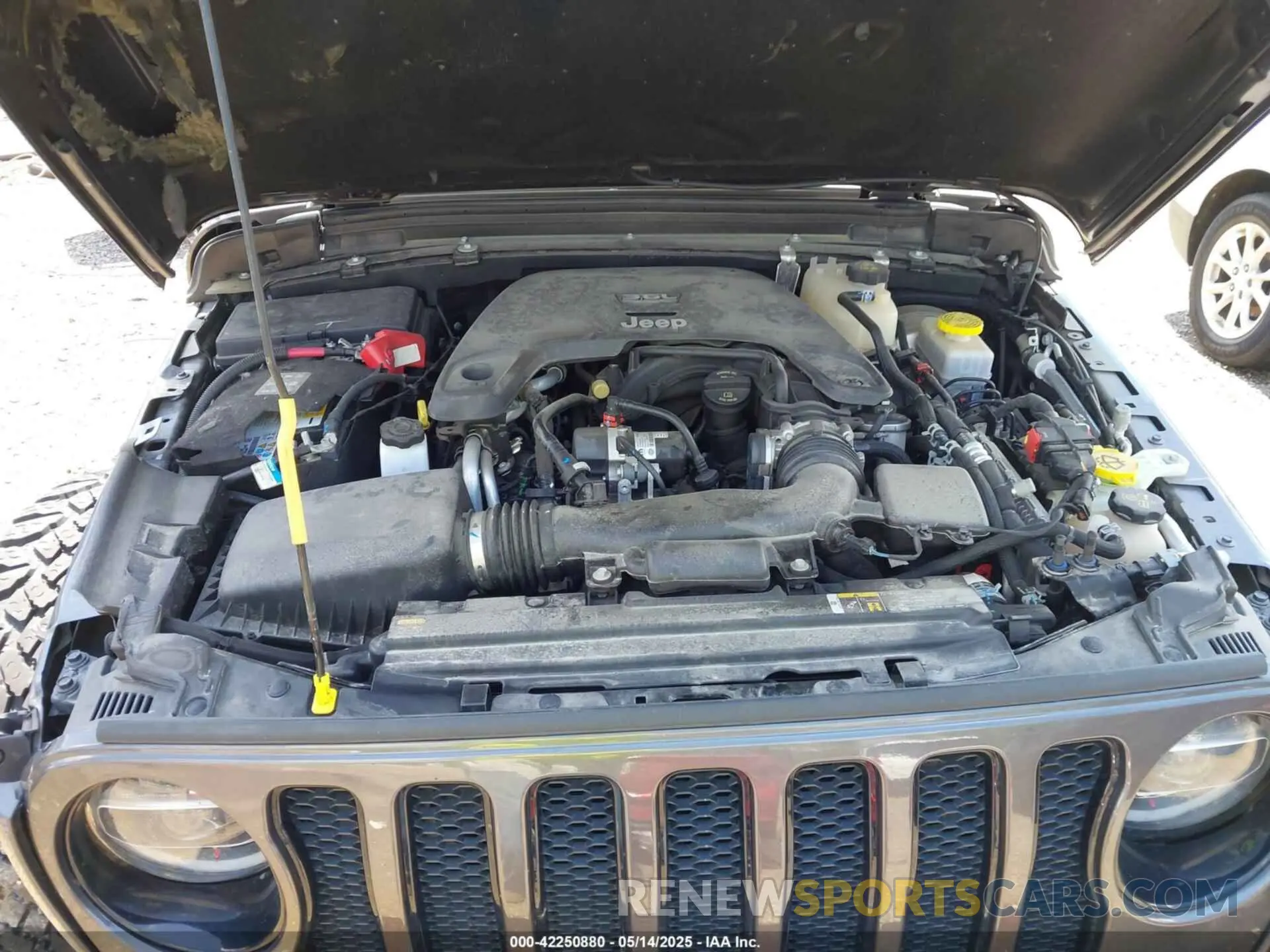 10 Photograph of a damaged car 1C4HJXDG7MW519386 JEEP WRANGLER UNLIMITED 2021