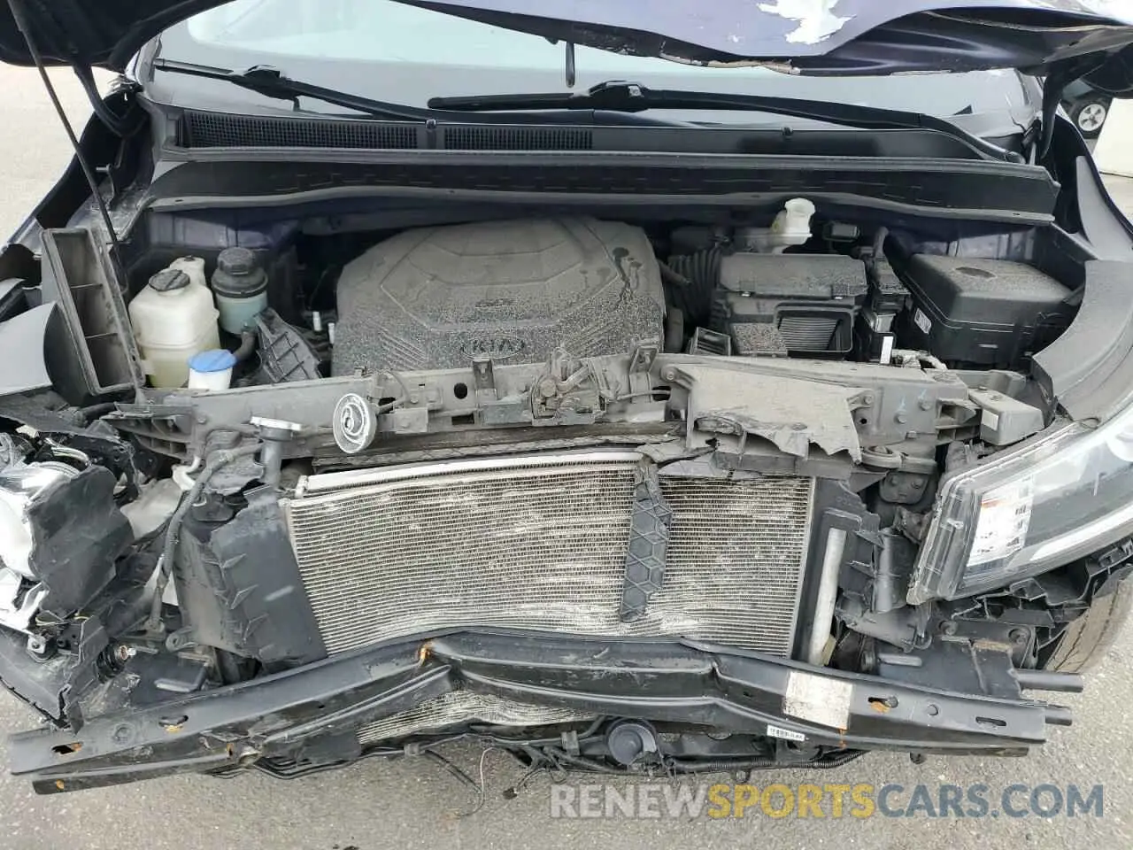 12 Photograph of a damaged car KNDMB5C13K6564982 KIA All Models 2019