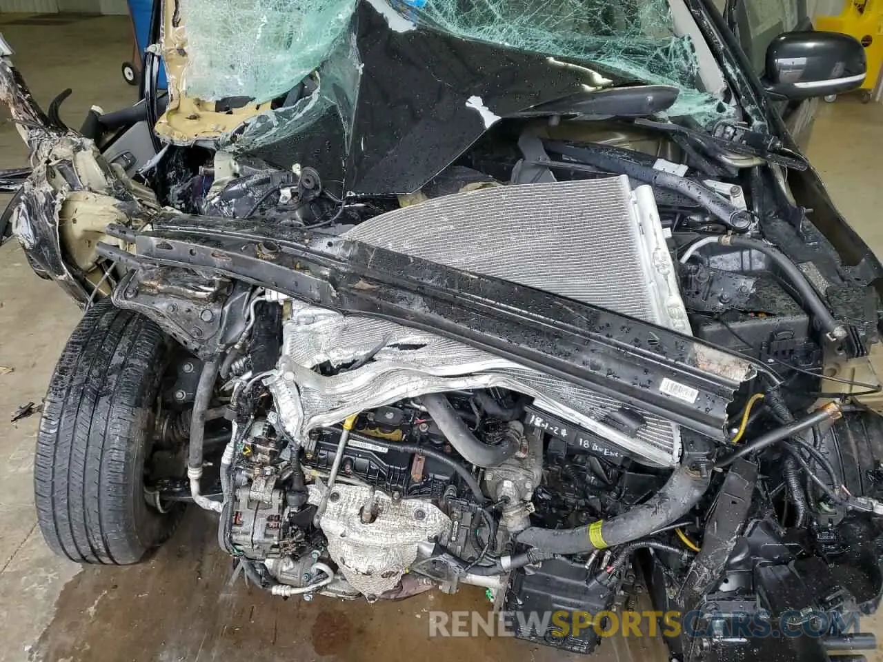 11 Photograph of a damaged car KNDMB5C17K6564905 KIA All Models 2019