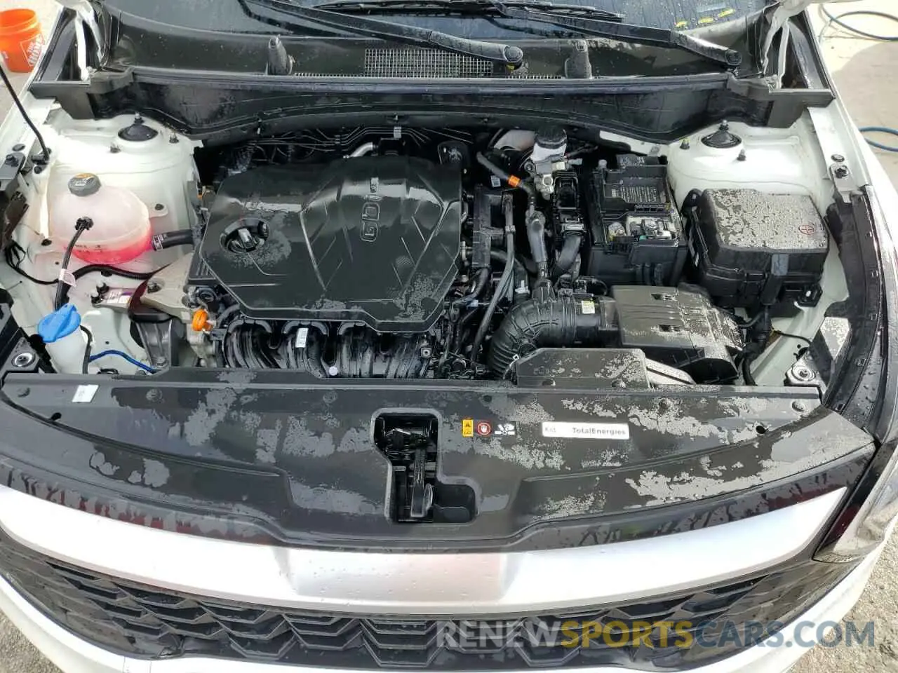 12 Photograph of a damaged car KNDPU3AF5P7176325 KIA BORREGO 2023
