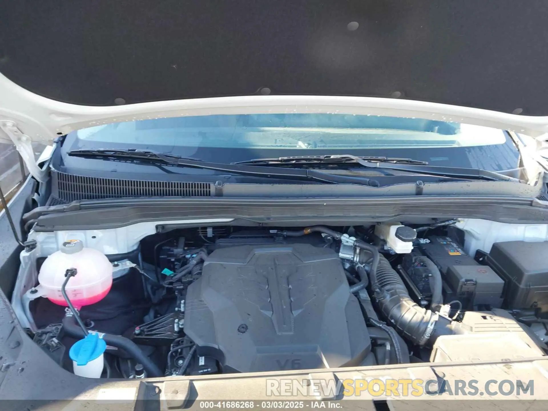 10 Photograph of a damaged car KNDNC5H3XR6431660 KIA CARNIVAL MPV 2024