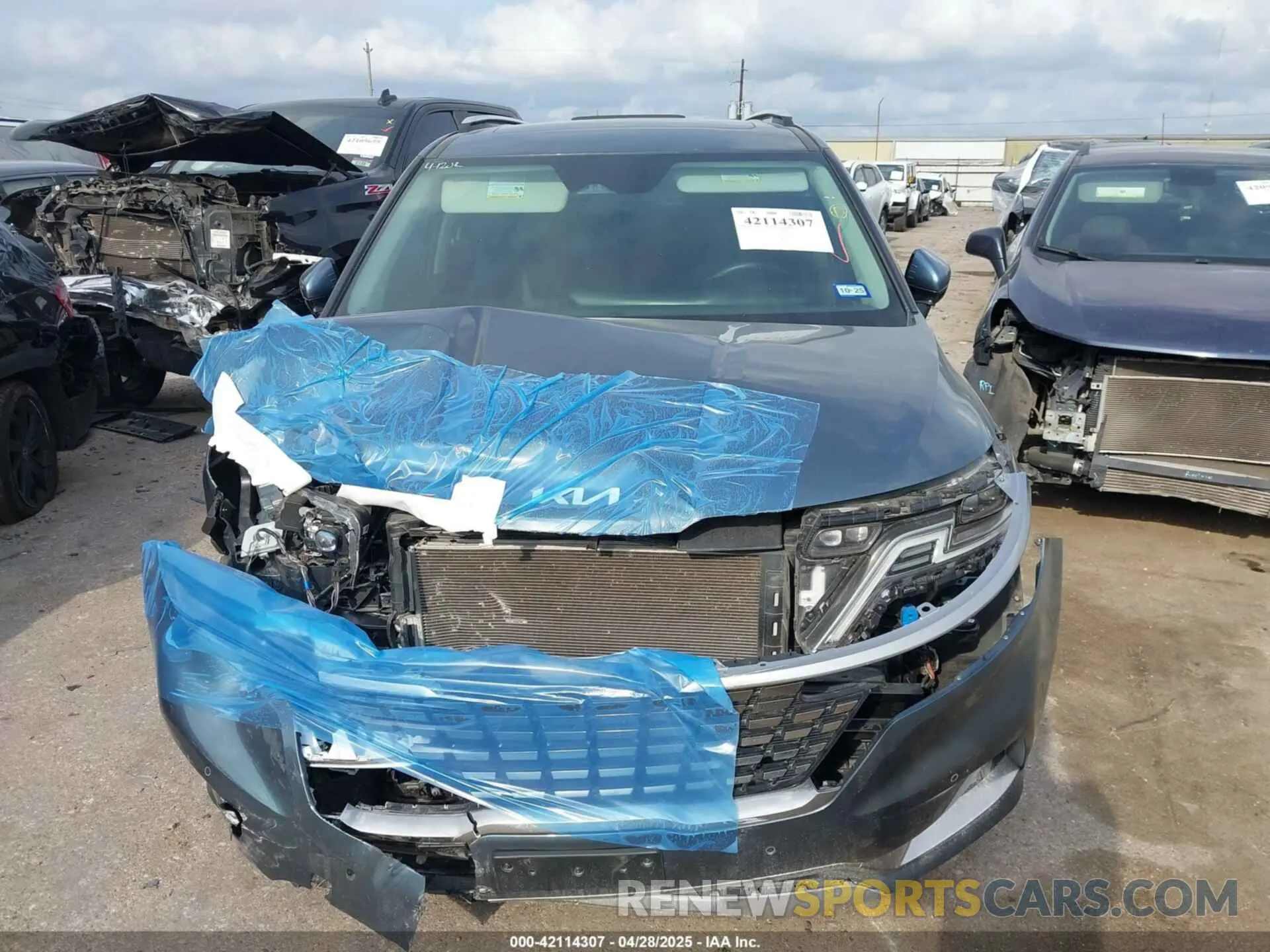 12 Photograph of a damaged car KNDNE5H33R6375166 KIA CARNIVAL MPV 2024