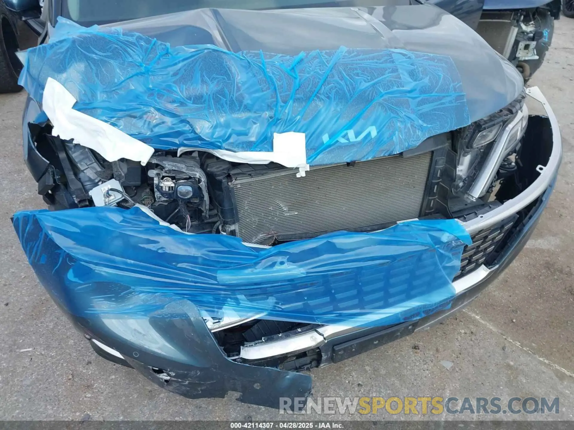 6 Photograph of a damaged car KNDNE5H33R6375166 KIA CARNIVAL MPV 2024