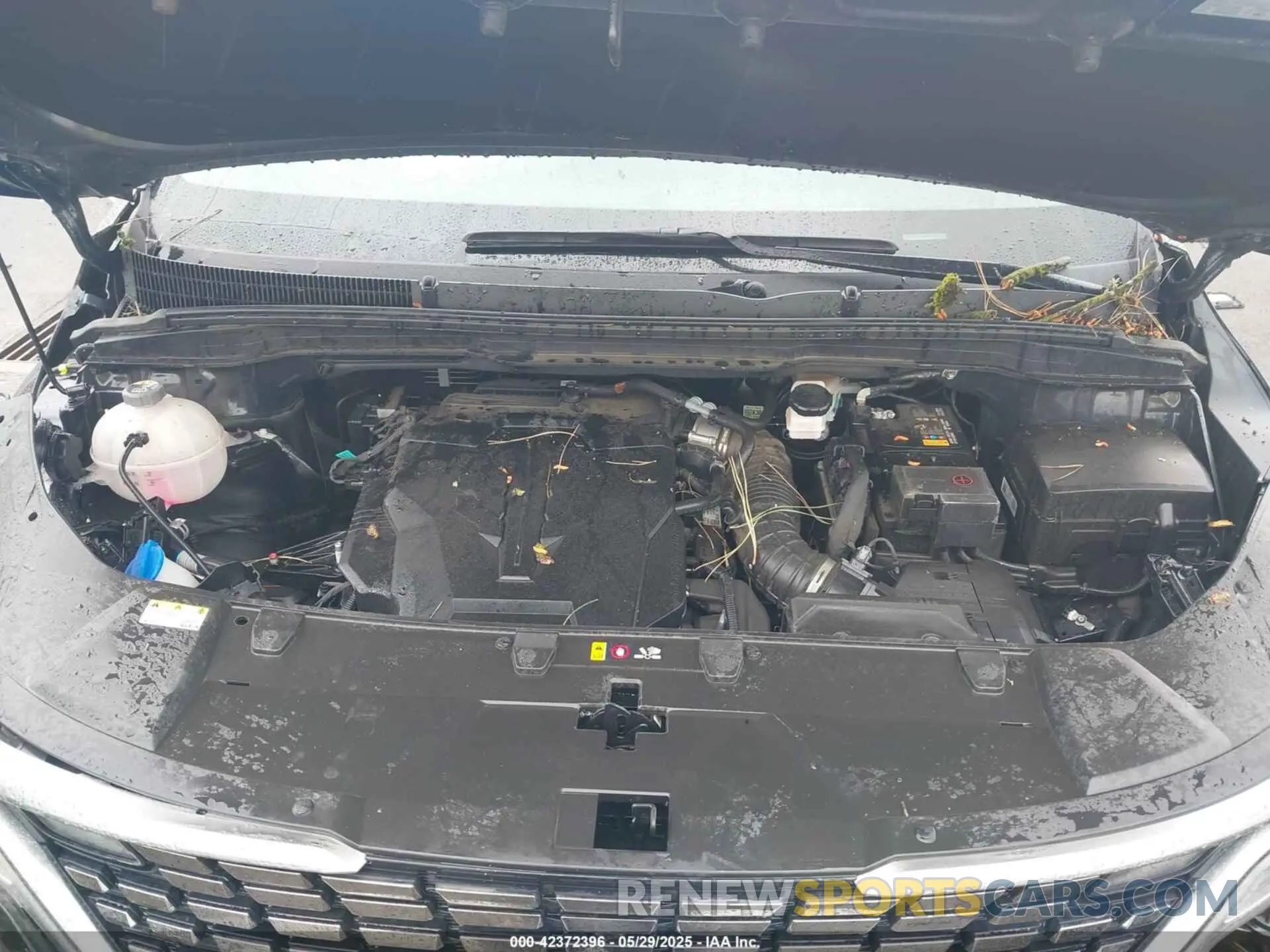 10 Photograph of a damaged car KNDNE5H33R6424382 KIA CARNIVAL MPV 2024