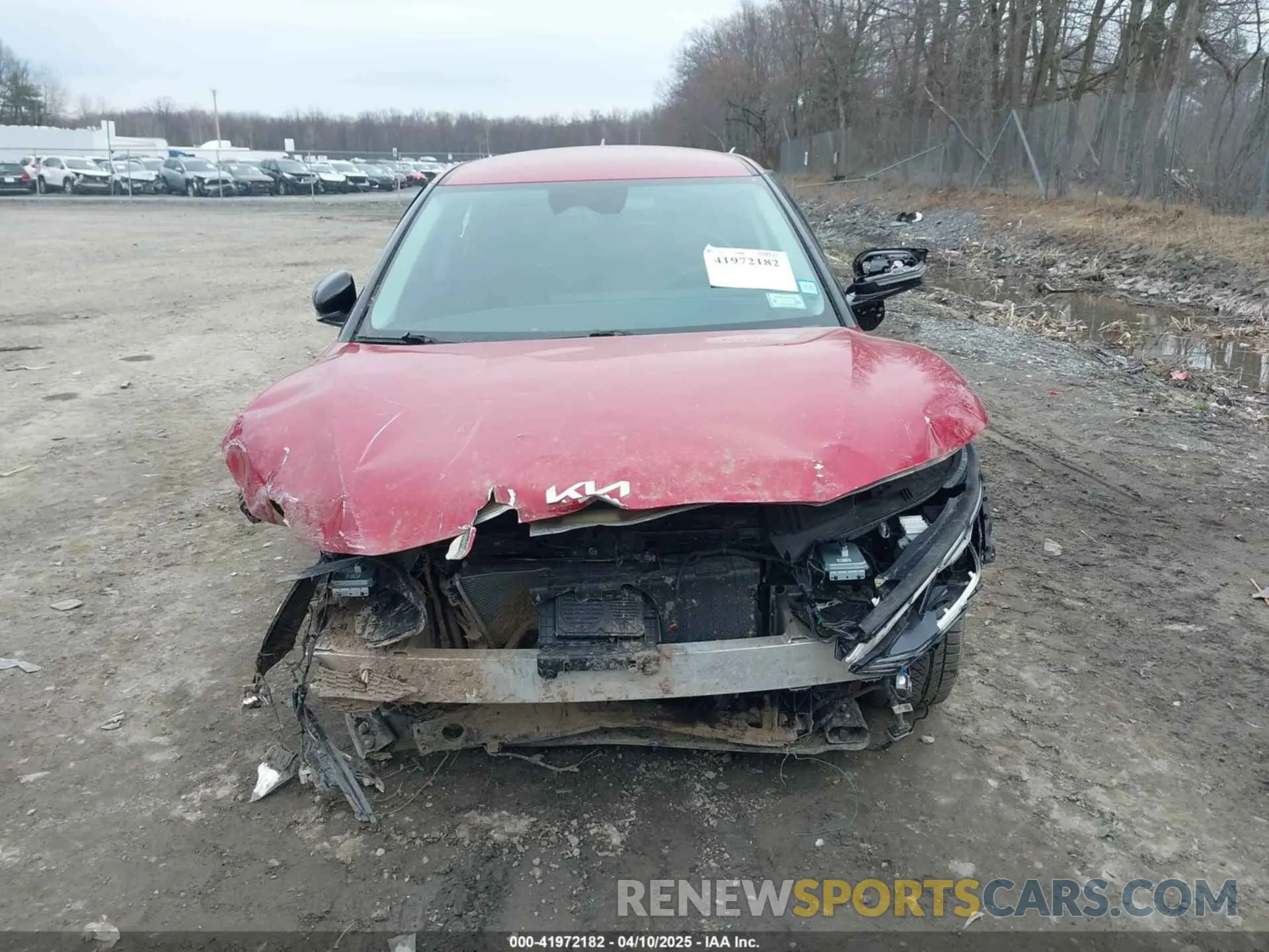 12 Photograph of a damaged car KNDC34LA5P5610909 KIA EV6 2023