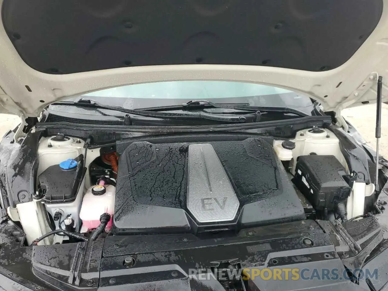 12 Photograph of a damaged car KNDC34LA2R5166424 KIA EV6 LIGHT 2024