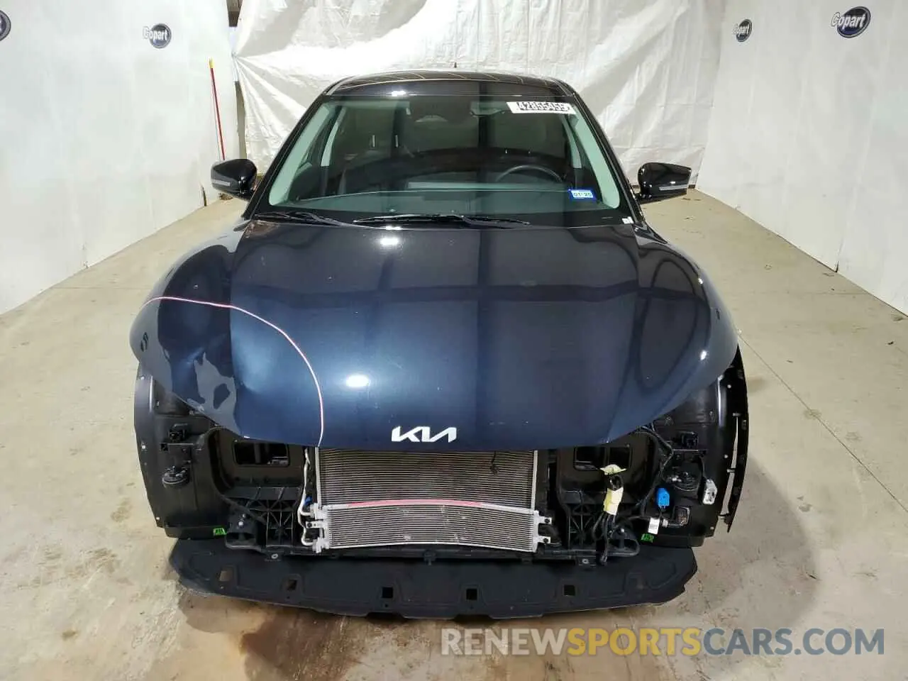 5 Photograph of a damaged car KNDC34LA2R5192070 KIA EV6 LIGHT 2024