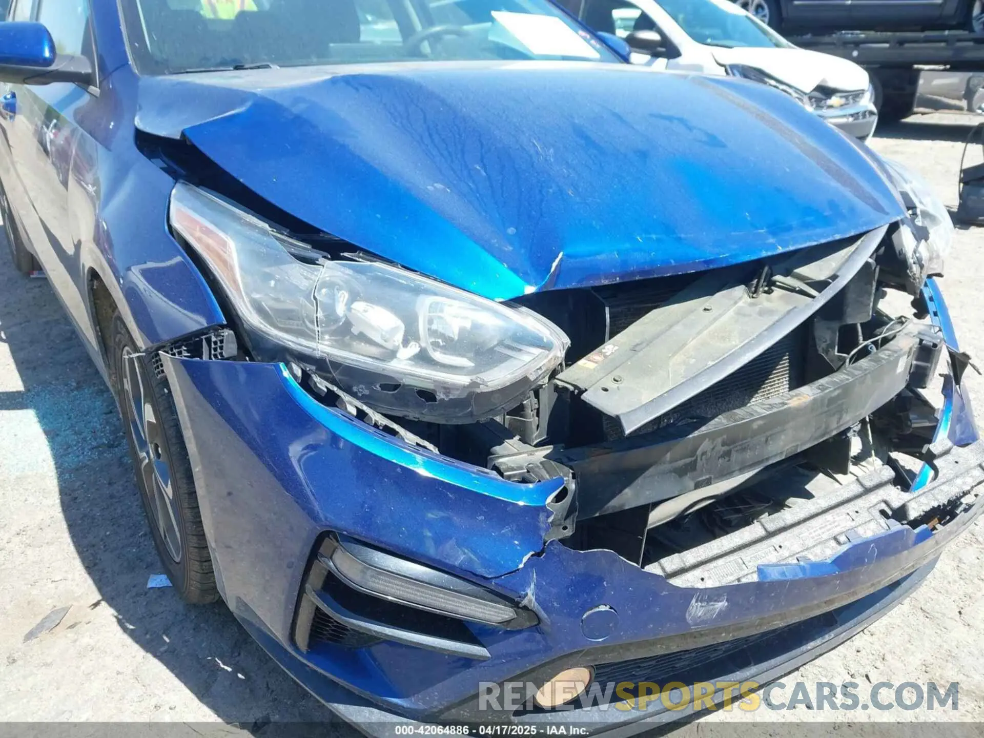 19 Photograph of a damaged car 3KPF24AD0KE031580 KIA FORTE 2019