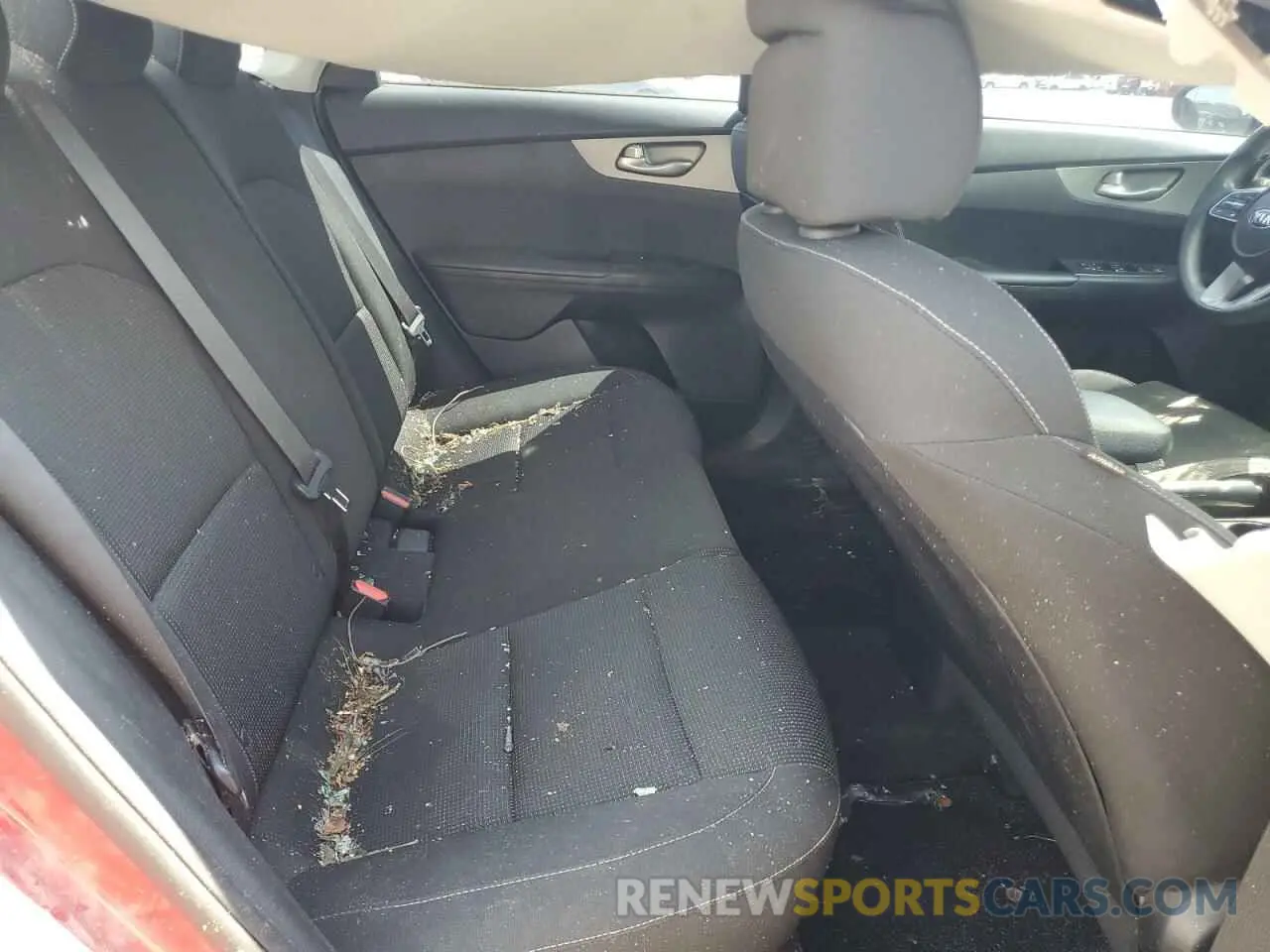 10 Photograph of a damaged car 3KPF24AD3KE005958 KIA FORTE 2019