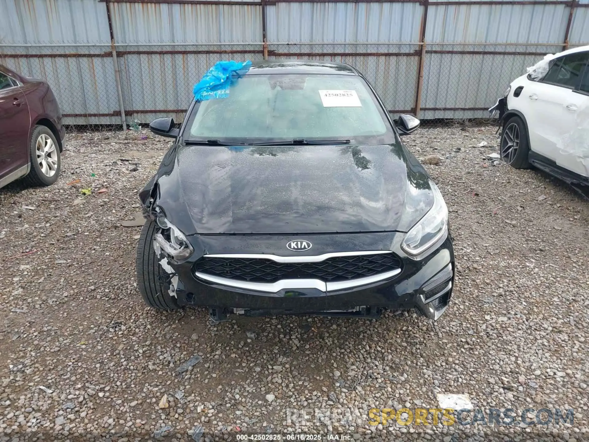 12 Photograph of a damaged car 3KPF24AD7KE137461 KIA FORTE 2019