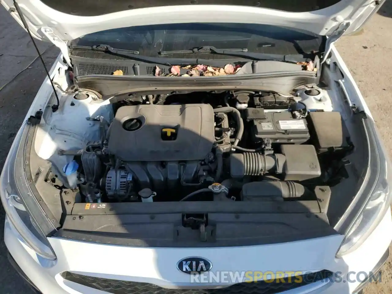 11 Photograph of a damaged car 3KPF24AD9KE136506 KIA FORTE 2019