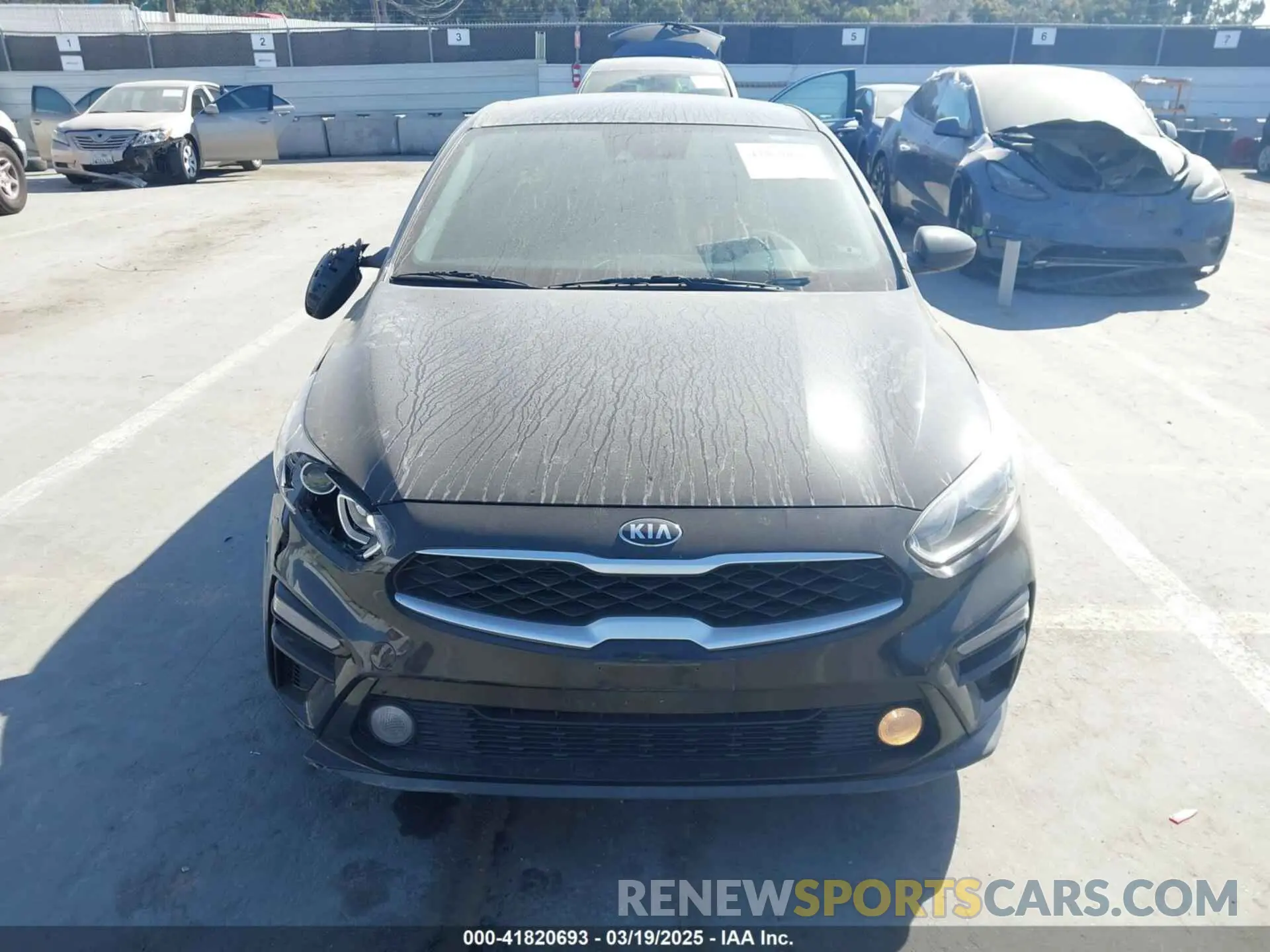 12 Photograph of a damaged car 3KPF24ADXKE137521 KIA FORTE 2019