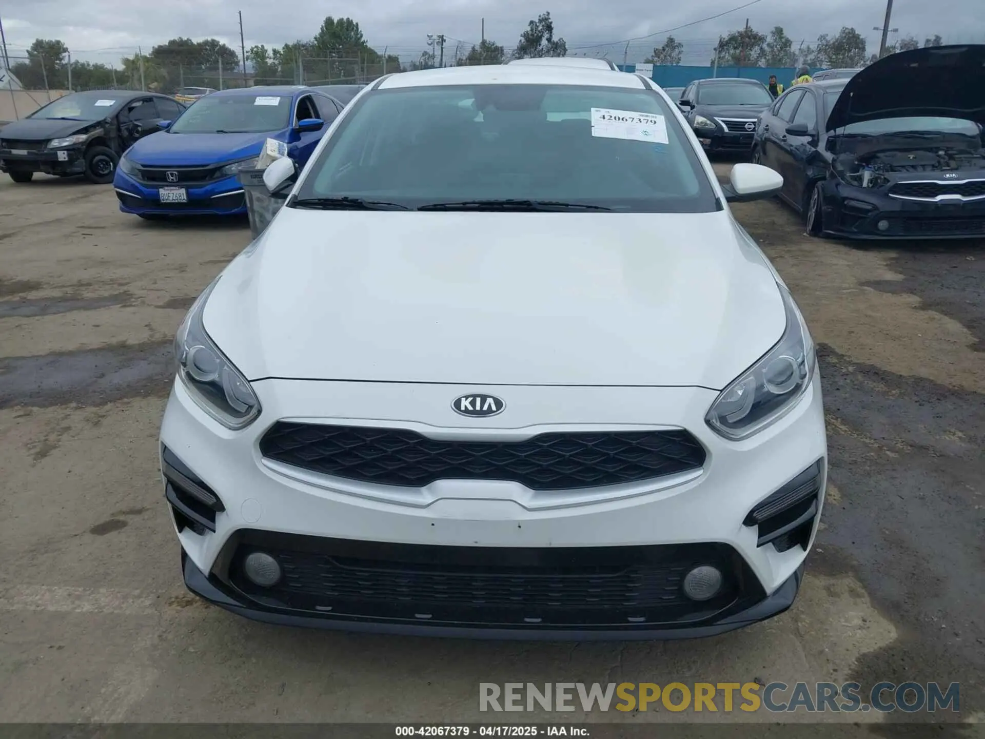 11 Photograph of a damaged car 3KPF24AD8ME354732 KIA FORTE 2021