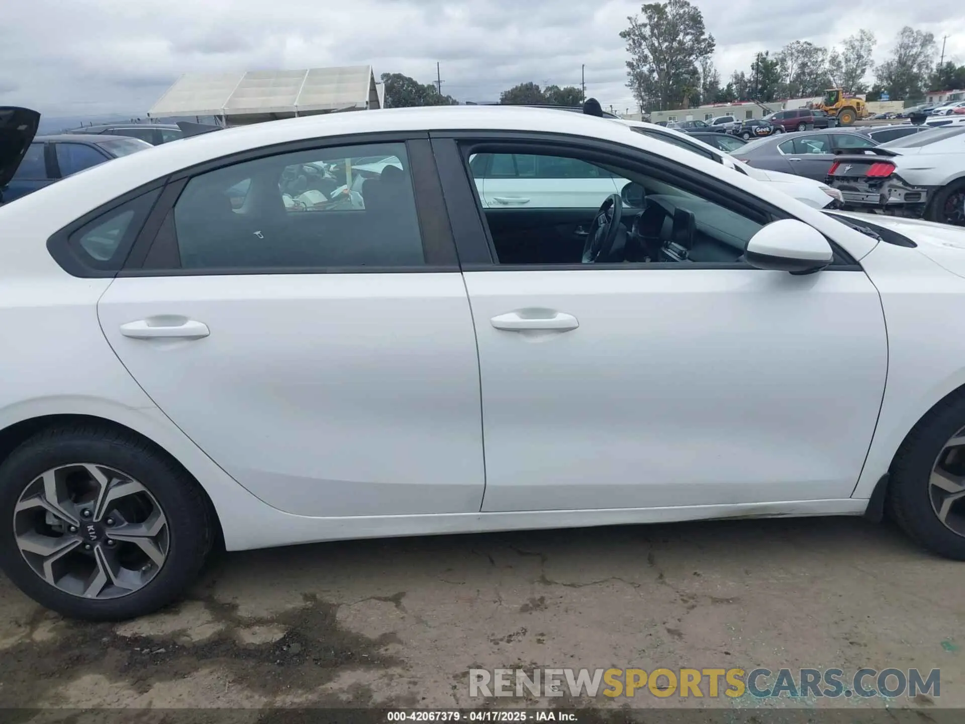 12 Photograph of a damaged car 3KPF24AD8ME354732 KIA FORTE 2021