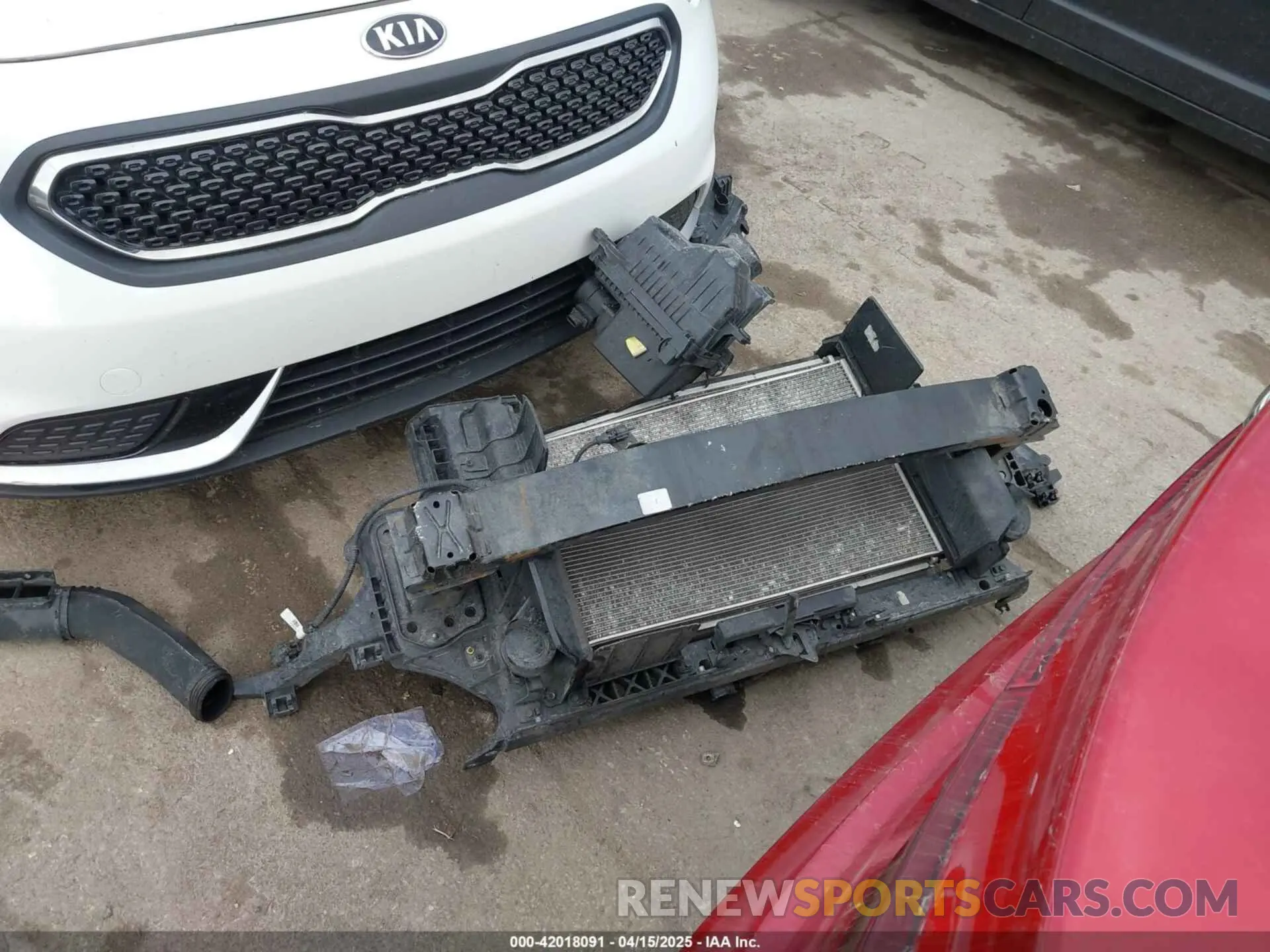 12 Photograph of a damaged car 3KPF24AD9ME338197 KIA FORTE 2021