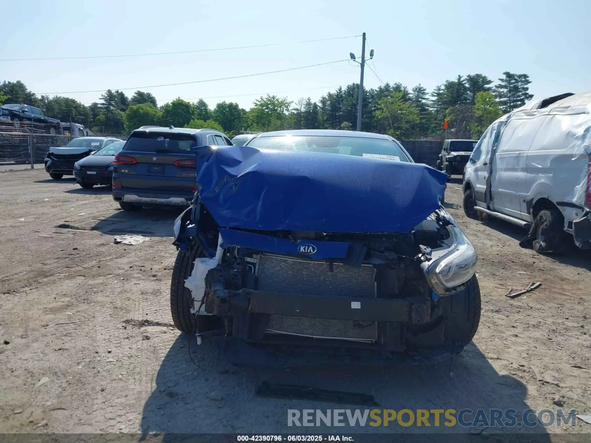 12 Photograph of a damaged car 3KPF34AD5ME279968 KIA FORTE 2021